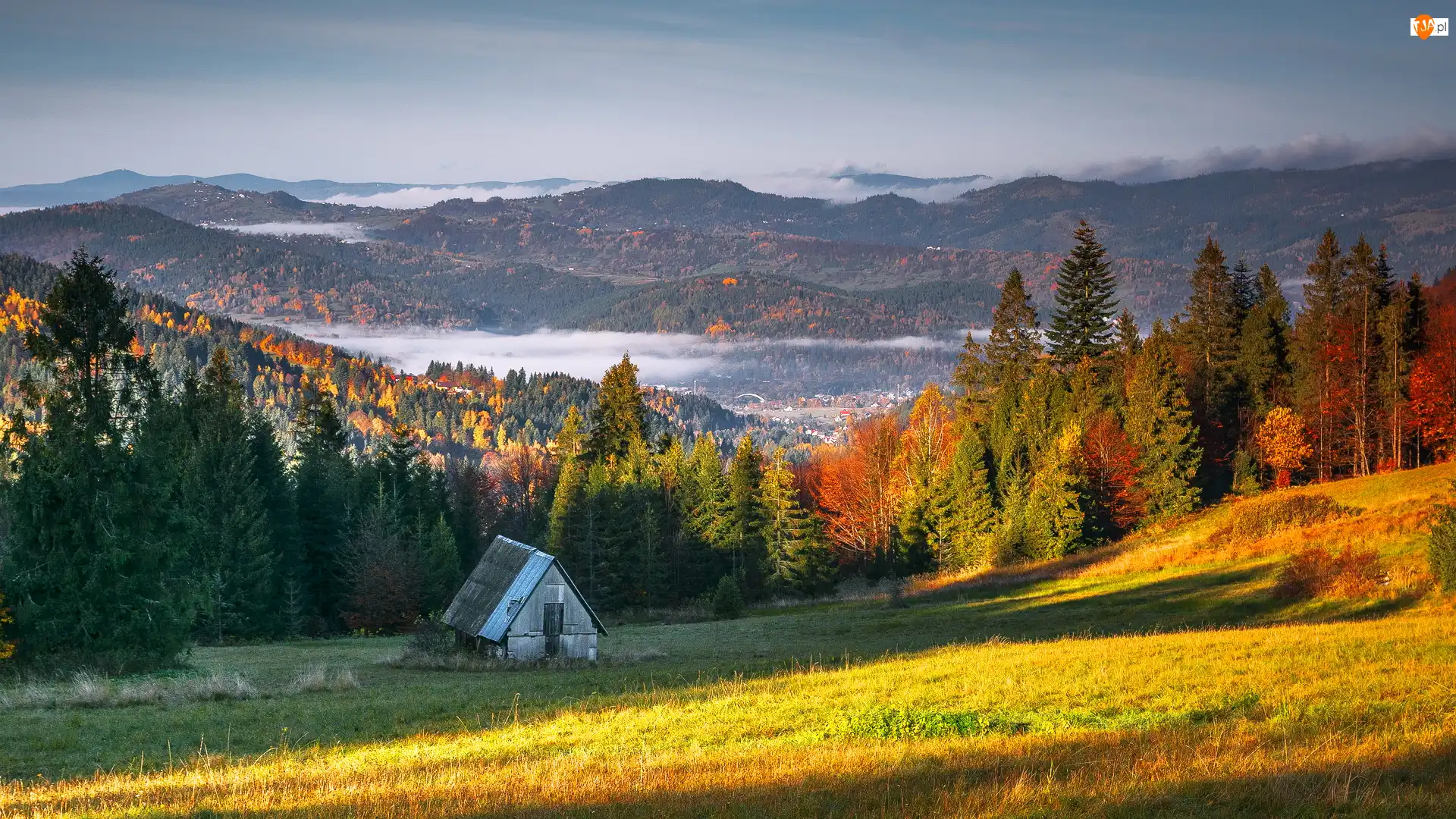 Szopa, Jesień, Las, Góry, Kolorowe, Polana, Polska, Drzewa