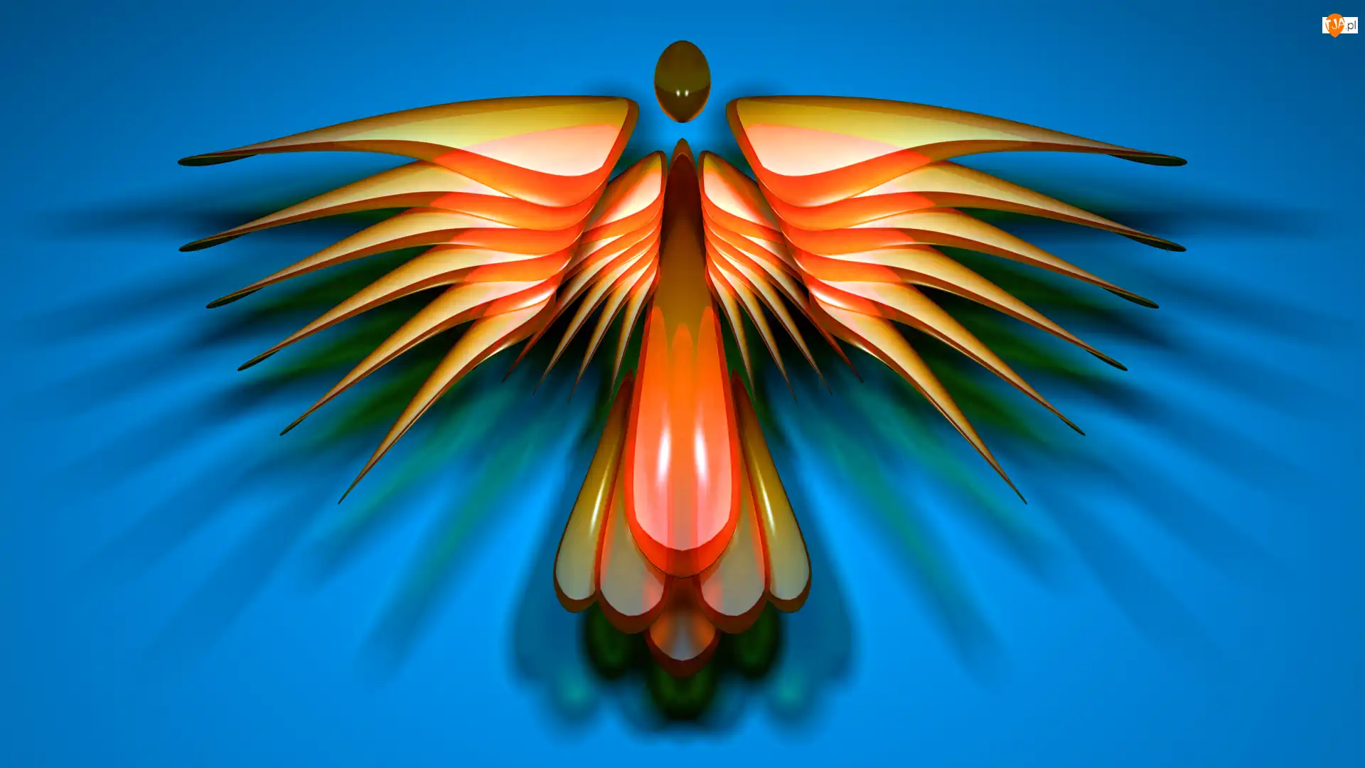 Feniks, Grafika 3D