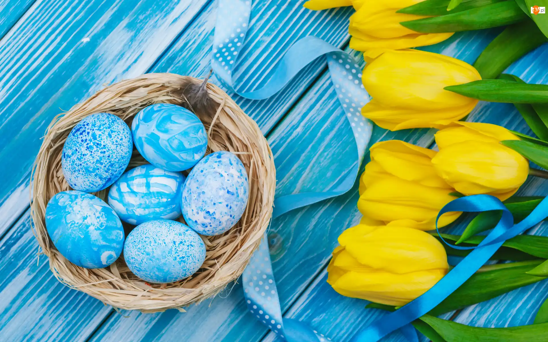Niebieskie, Tulipany, Gniazdo, Deski, Żółte, Wstążka, Wielkanoc, Pisanki