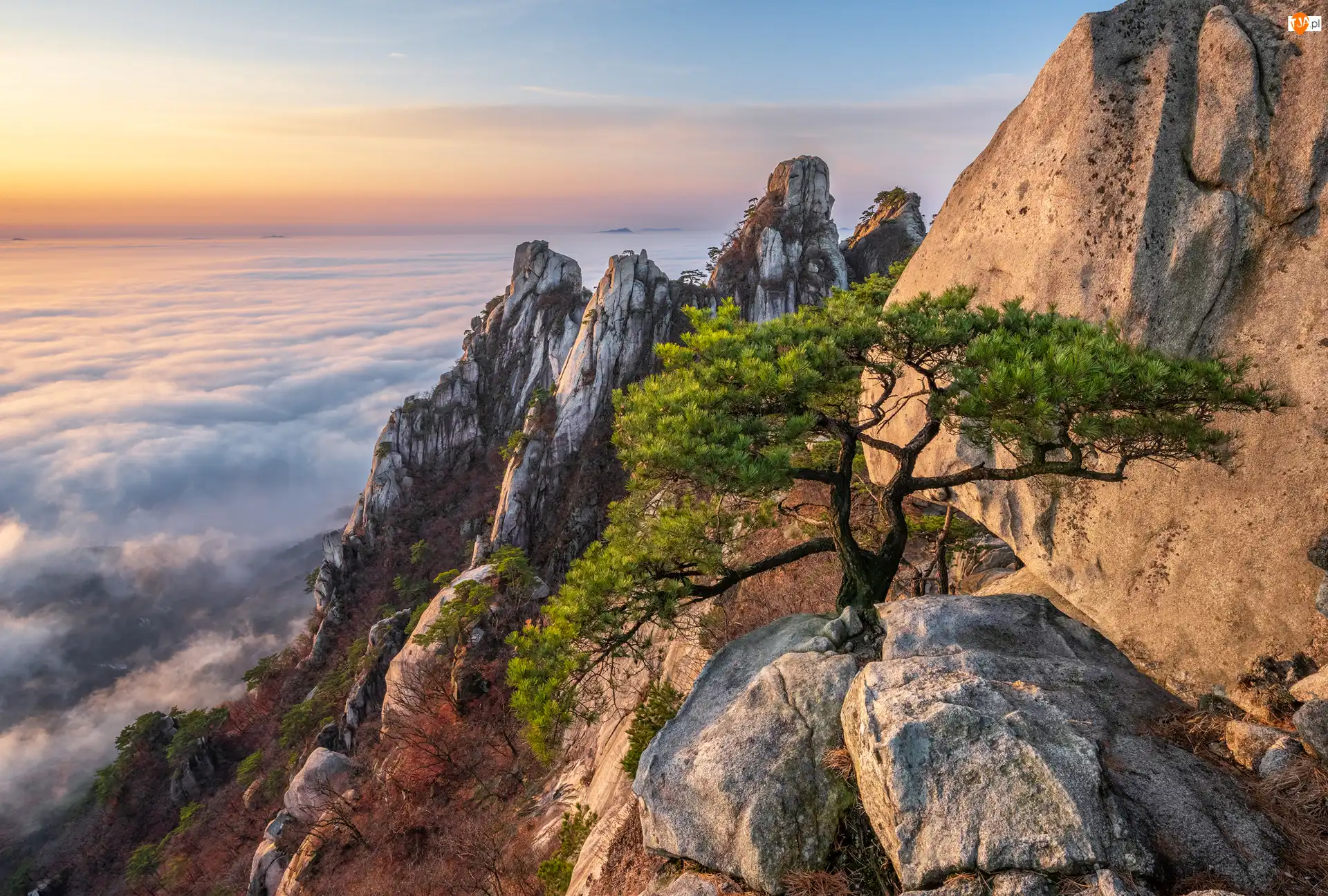 Park Narodowy Bukhansan, Góry, Mgła, Prowincja Gyeonggi-do, Skały, Góra Dobongsan, Korea Południowa, Sosna