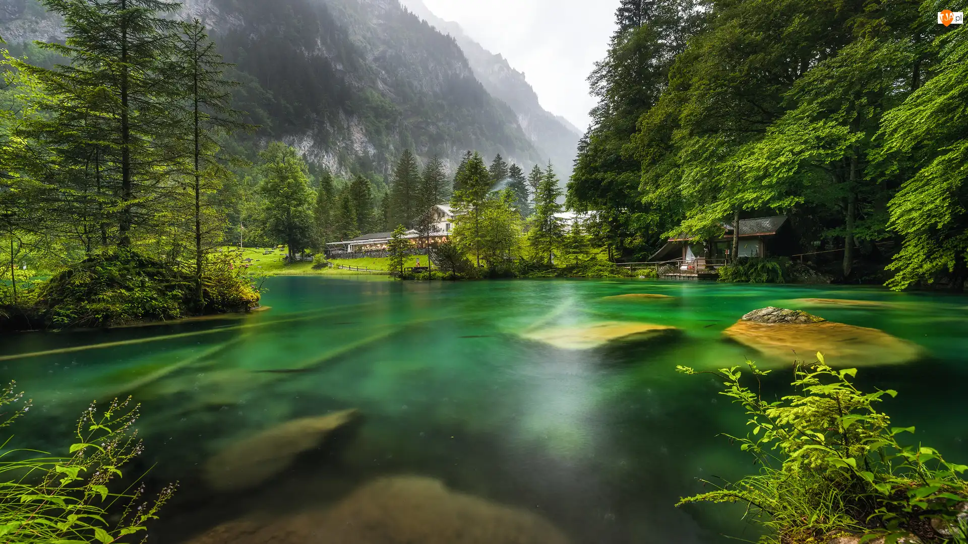 Kamienie, Szwajcaria, Góry, Las, Kanton Berno, Domy, Drzewa, Jezioro Blausee