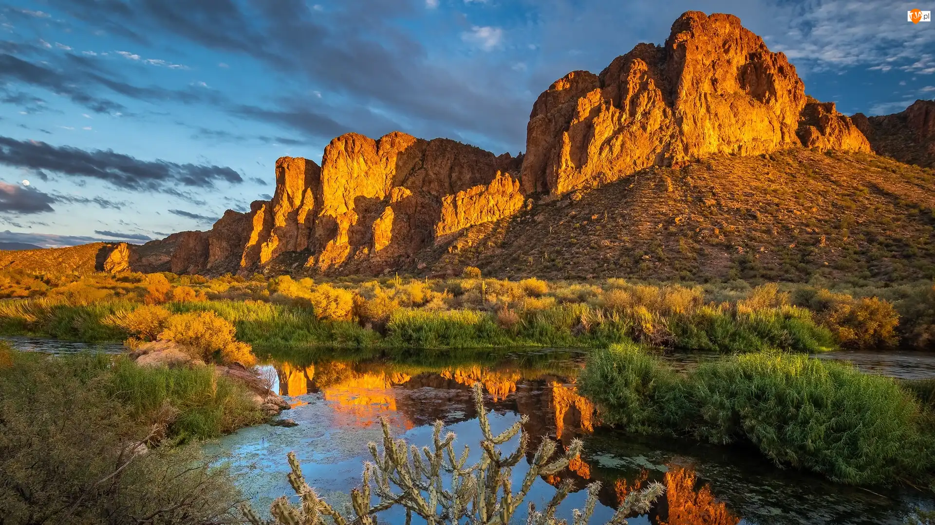 Skały, Rośliny, Stany Zjednoczone, Góry, Arizona, Salt River, Rzeka