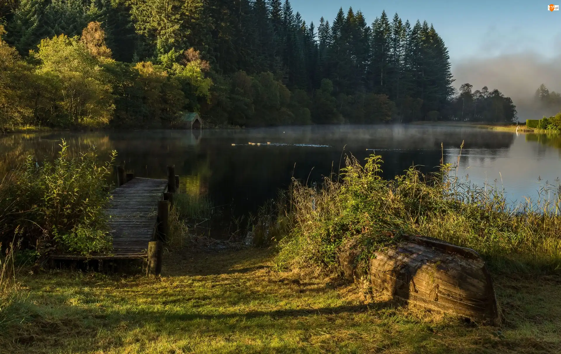 Łódź, Szkocja, Wieczór, Pomost, Trossachs, Las, Zarośla, Jezioro