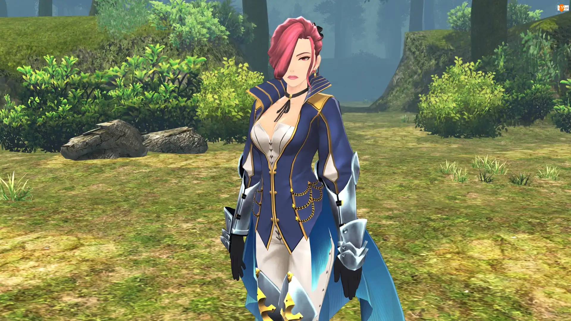 Dziewczyna, Maltran, Tales of Zestiria, Gra, Doradca wojskowy