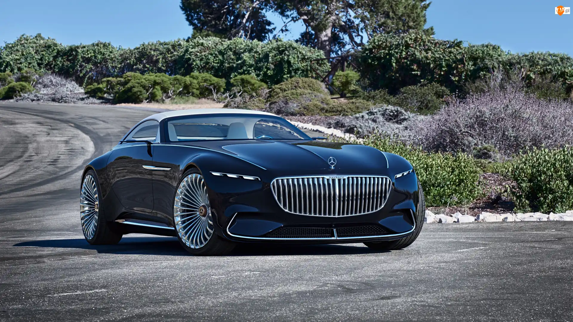 Prototyp, Elektryczny, Vision Mercedes-Maybach 6, Kabriolet