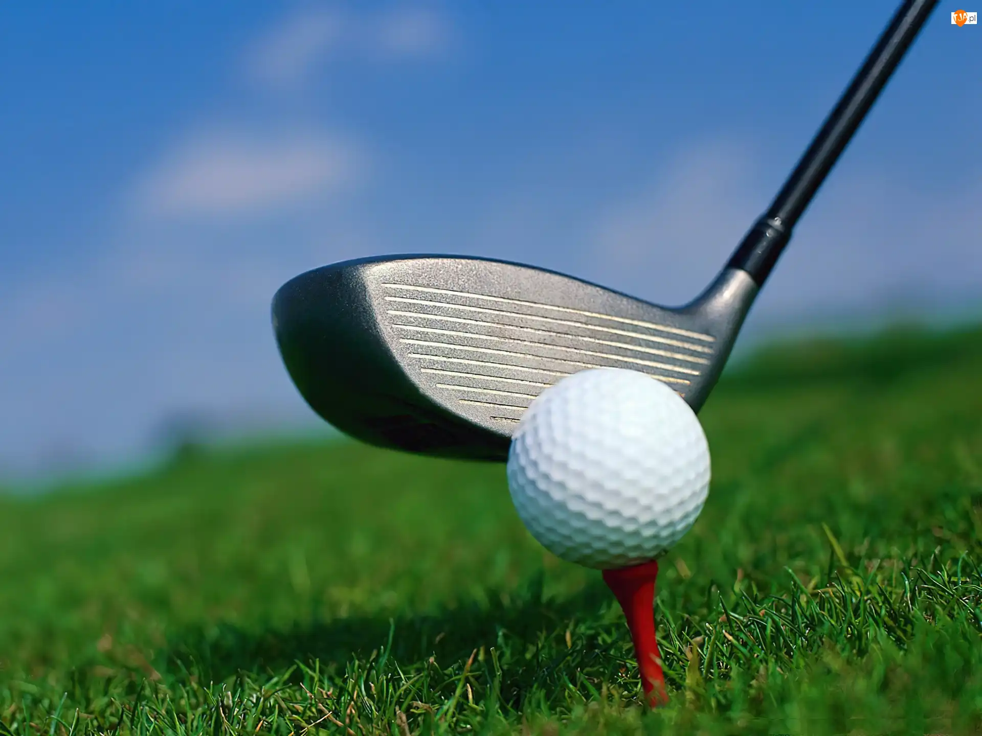 kij golfowy, Sportowe Golf, piłka do golfa