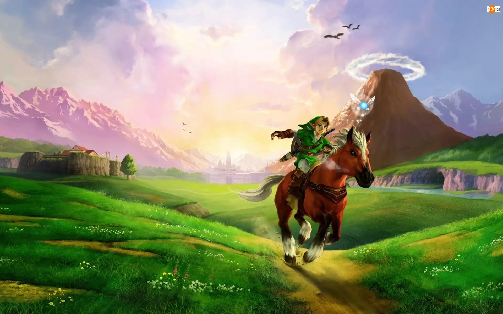 Koń, Gra, The Legend of Zelda, Chłopiec