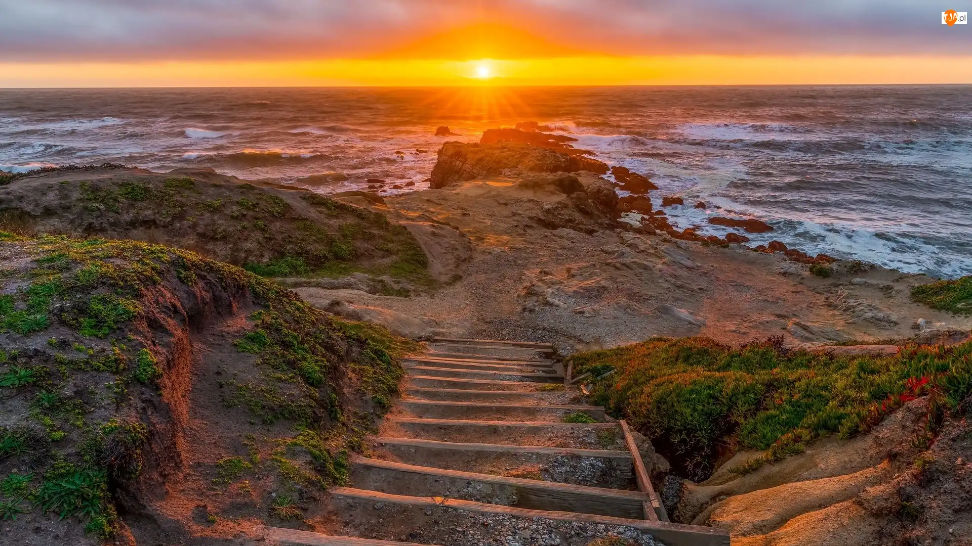 Rośliny, Zachód słońca, Plaża, Kalifornia, Morze, Pescadero State Beach, Stany Zjednoczone, Schody