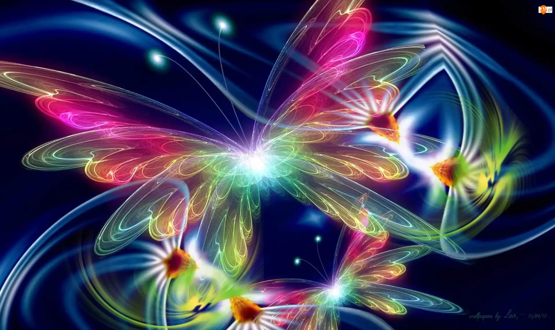 Motyl, Fractalius, Poświata, Grafika, Kwiaty