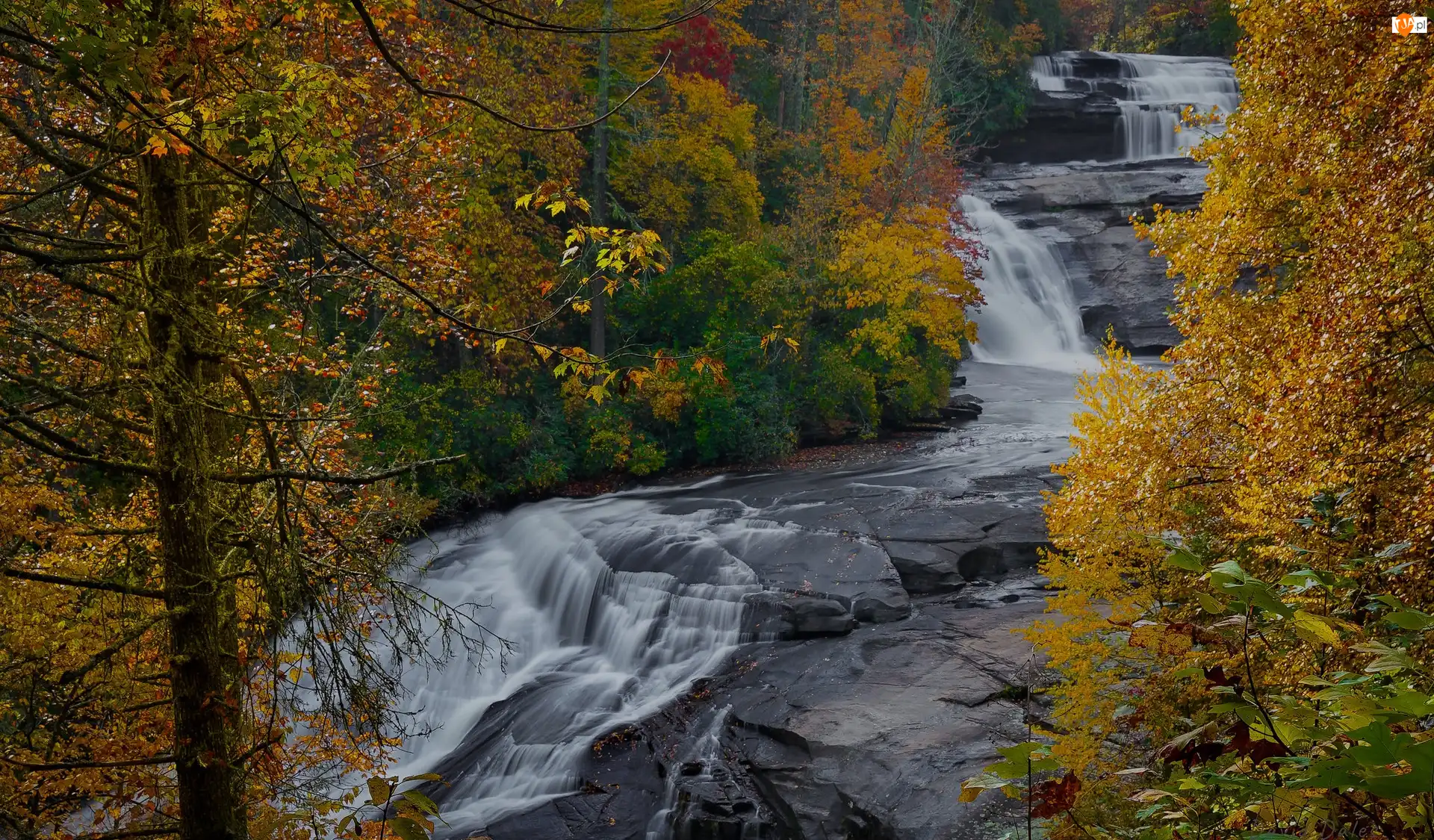 Las, Żółte, Little River, Stany Zjednoczone, DuPont State Forest, Jesień, Skały, Rzeka, Drzewa, Wodospad, Triple Falls, Karolina Północna
