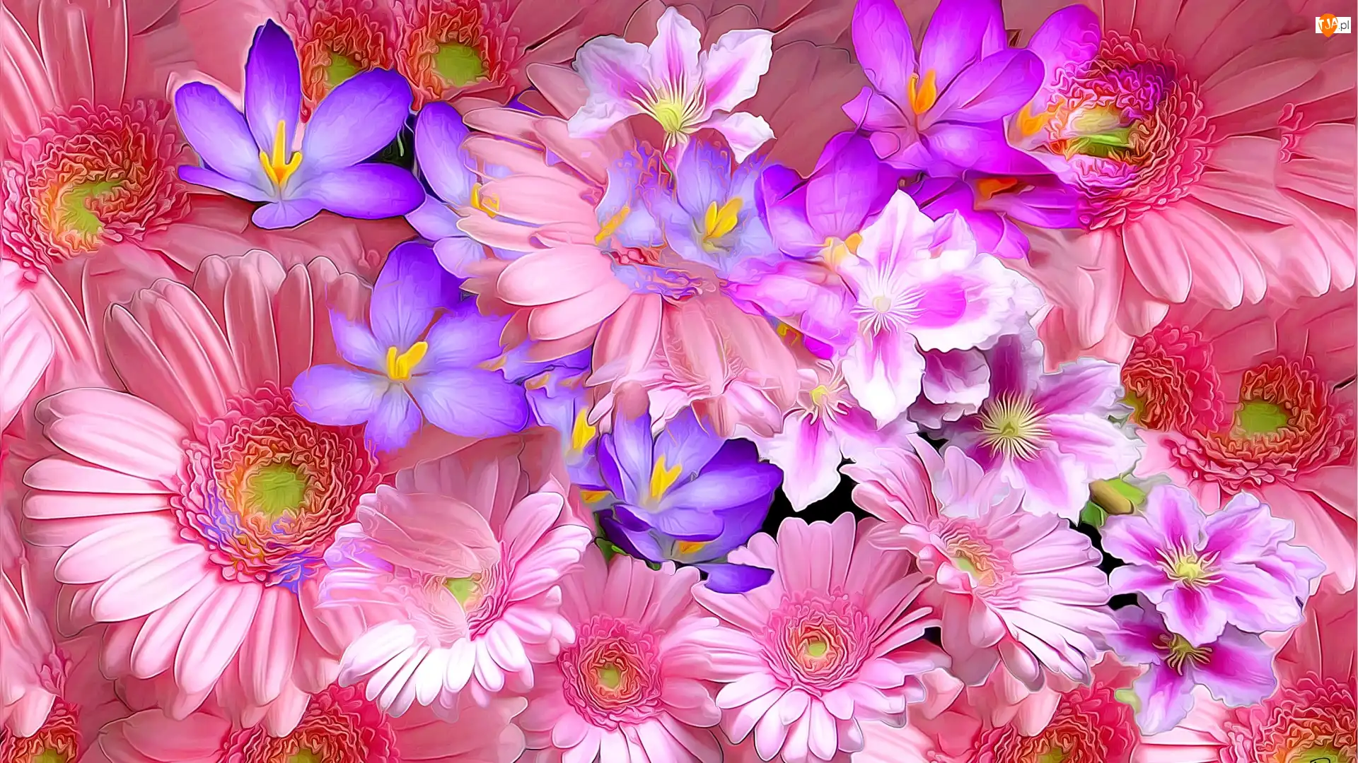 Kwiaty, Fractalius, Różowe, Niebieskie