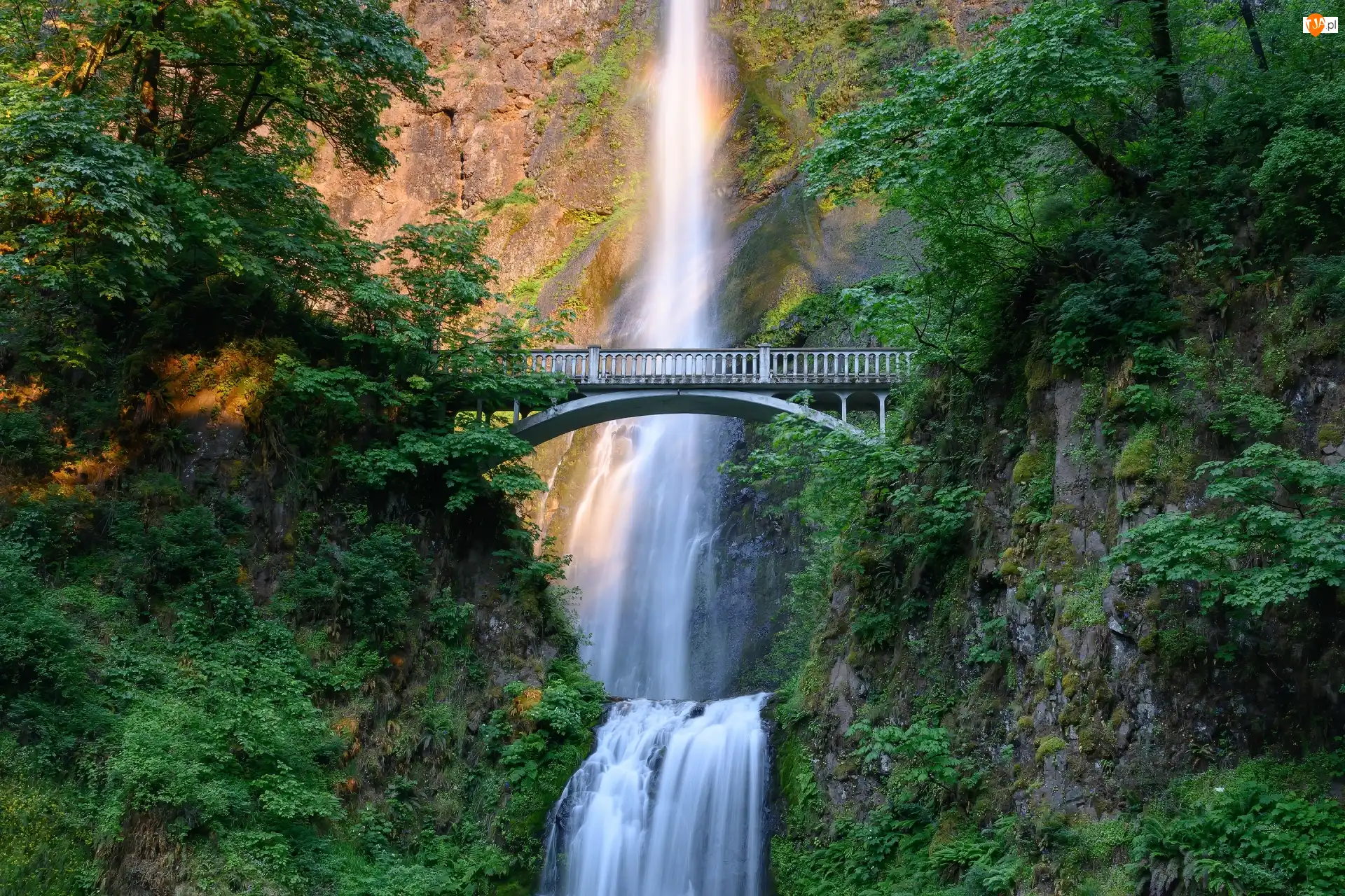 Stany Zjednoczone, Multnomah Falls, Hrabstwo Multnomah, Zieleń, Oregon, Skały, Drzewa, Wodospad, Most