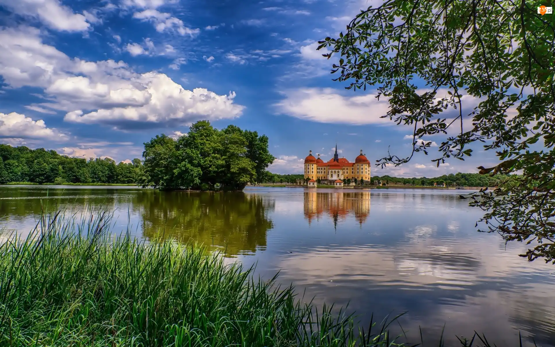 Niemcy, Pałac Moritzburg, Jezioro, Saksonia
