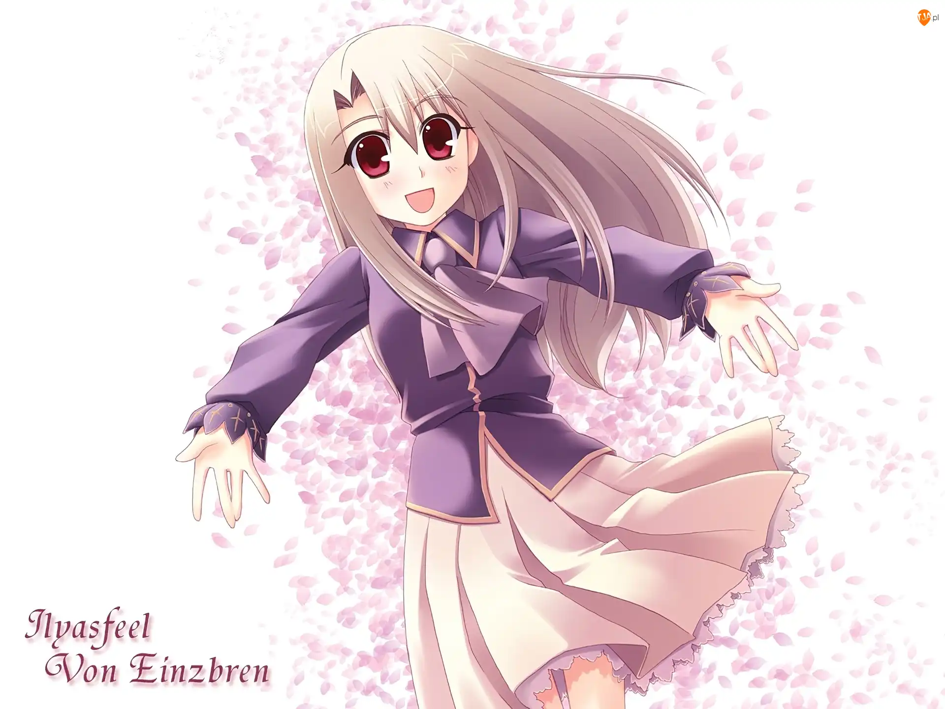 dziewczyna, oczy, płatki, Fate Stay Night, sukienka