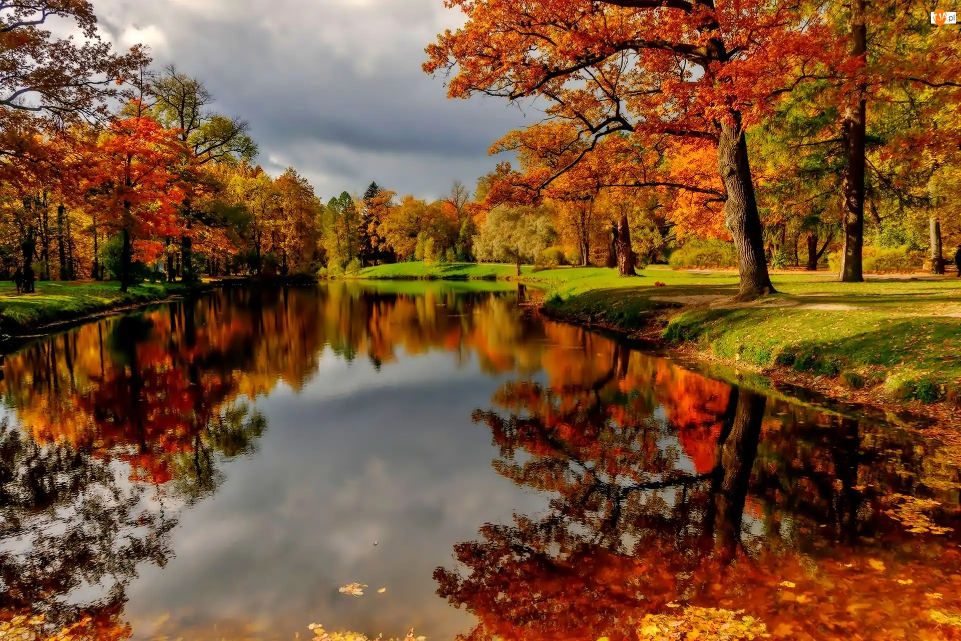 Staw, Jesień, Park