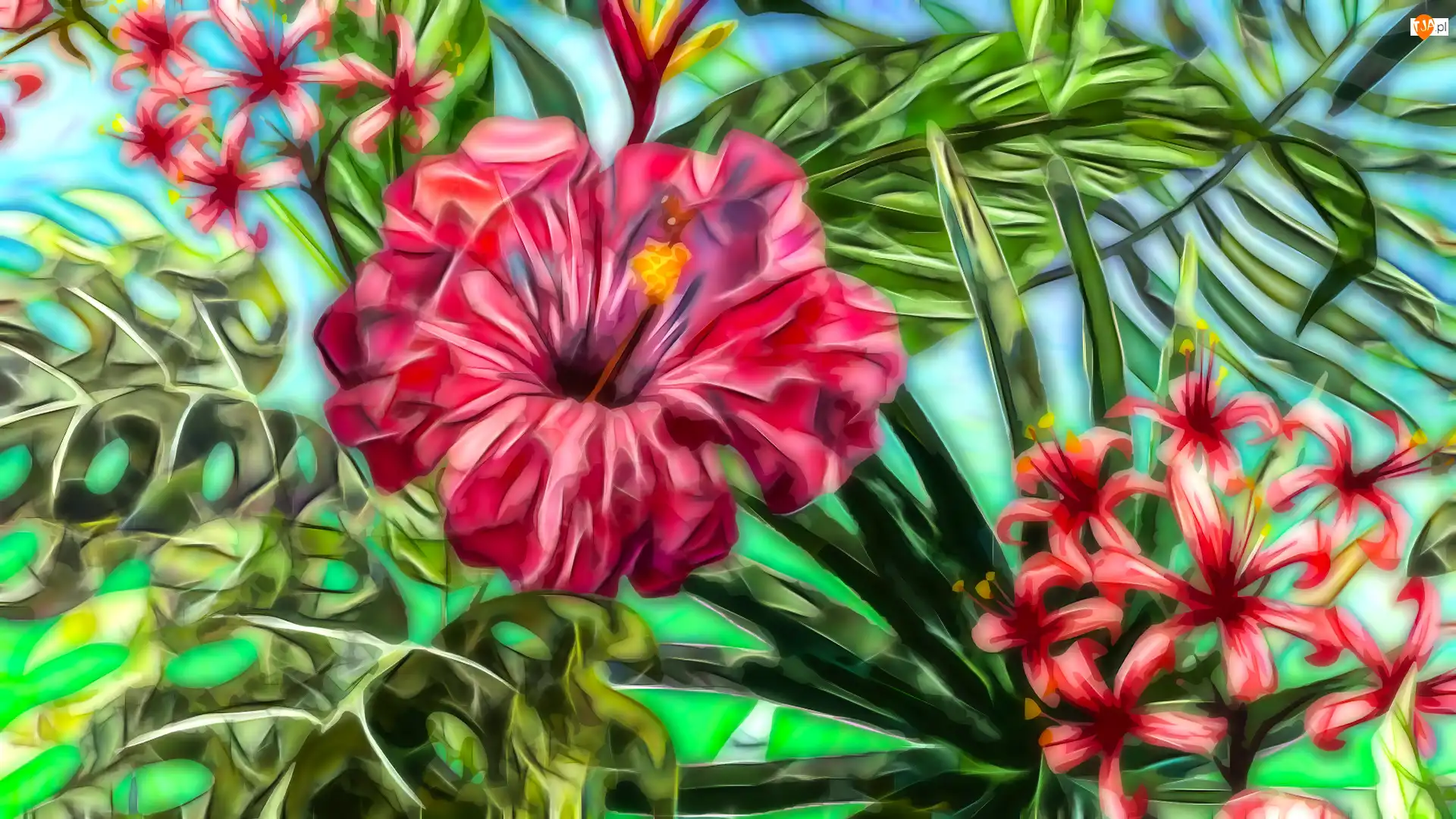 Hibiskus, Kwiaty, Liście, Grafika