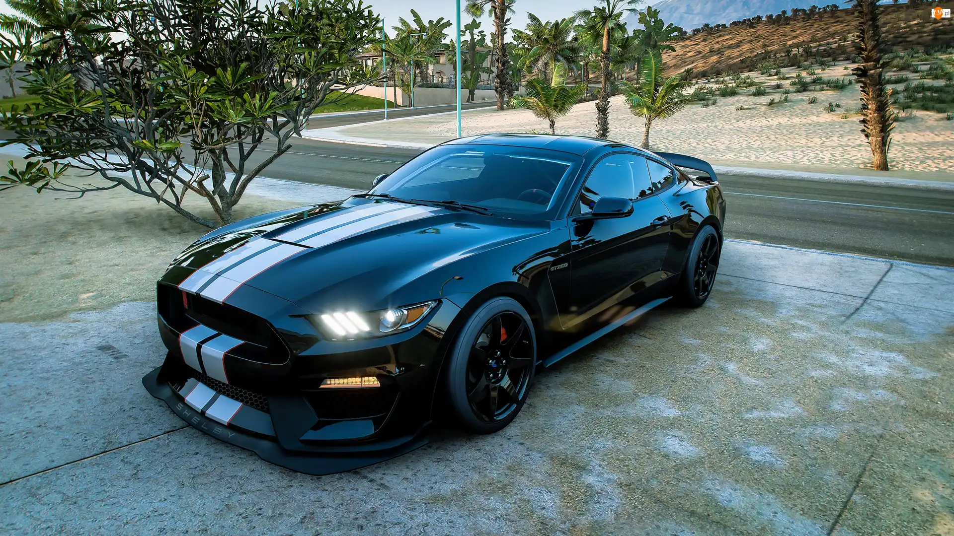Shelby, Gra, Forza Horizon 5, Ford
