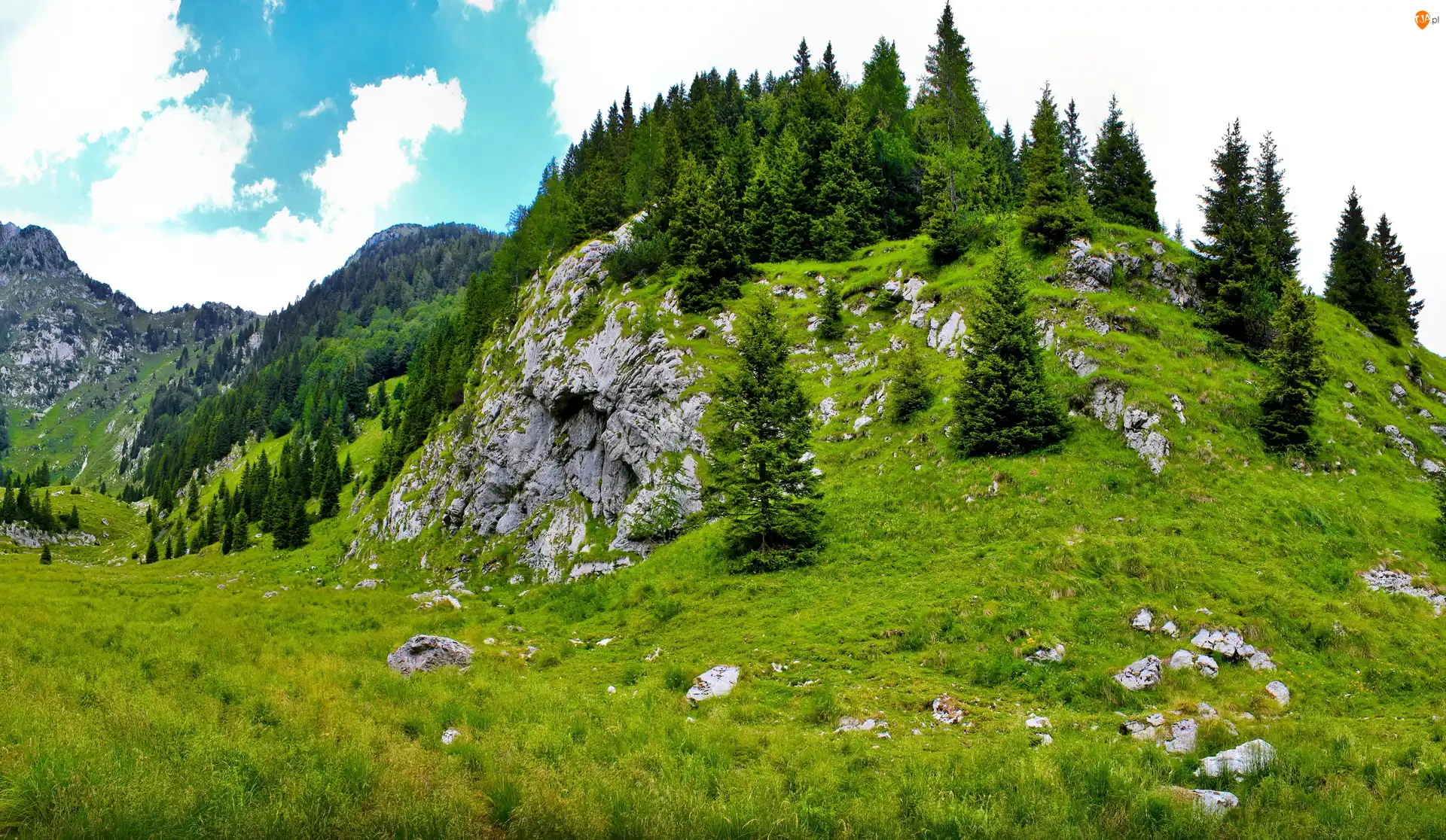 Drzewa, Góry, Skały