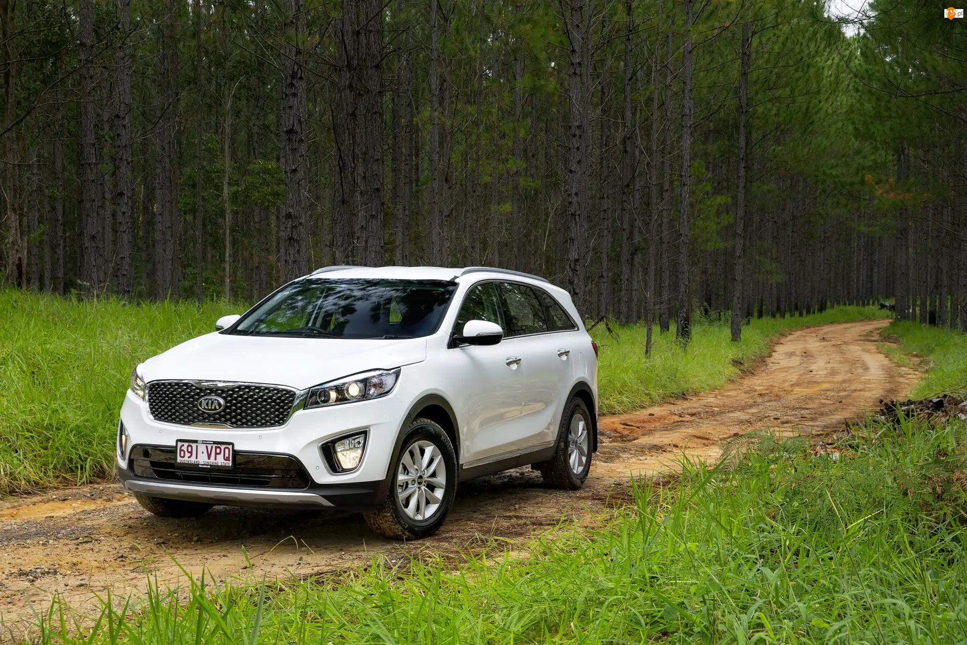2016, Kia Sorento Platinum