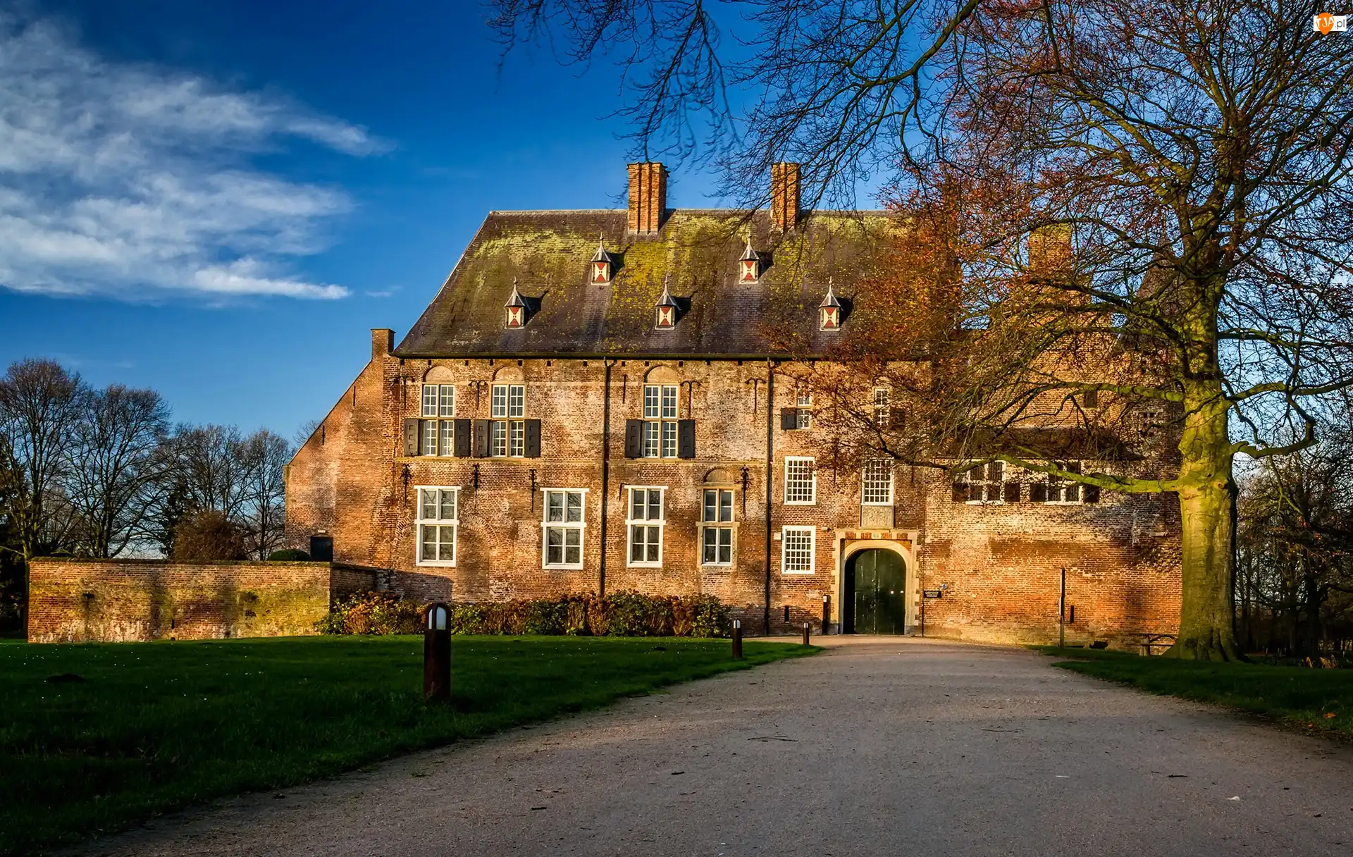 Trawnik, Kasteel Hernen, Drzewa, Muzeum, Ścieżka, Holandia, Gmina Wijchen, Zamek Hernen, Wieś Hernen