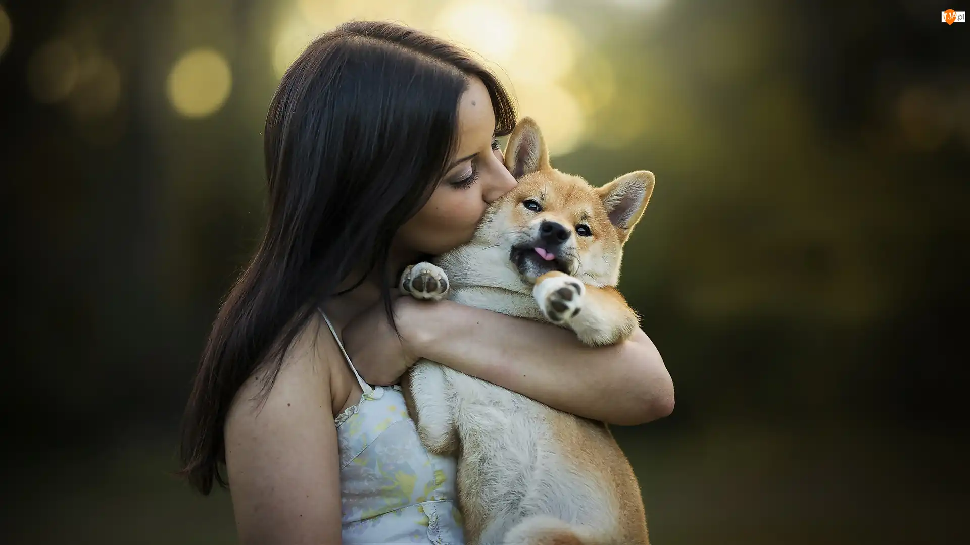 Przyjaciele, Kobieta, Pies, Shiba inu