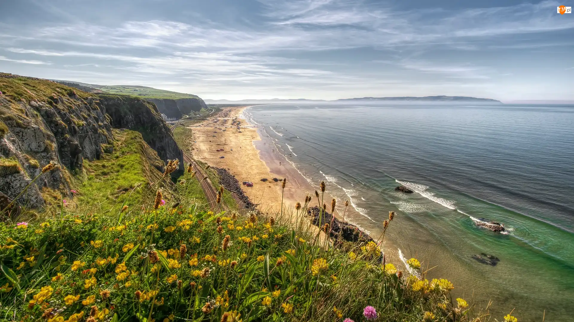 Benone Beach, Morze, Kwiaty, Hrabstwo Londonderry, Wybrzeże, Plaża, Irlandia Północna, Skały