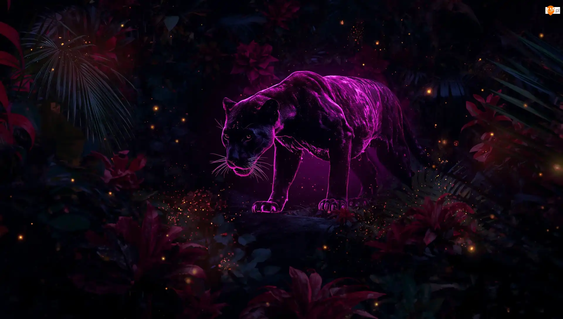 Czarna, Pantera, Kolor, AI, Neon, Magenta
