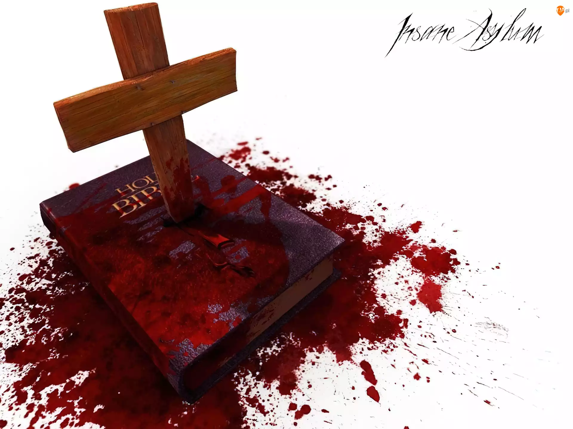 książka, Insane Asylum, krzyż