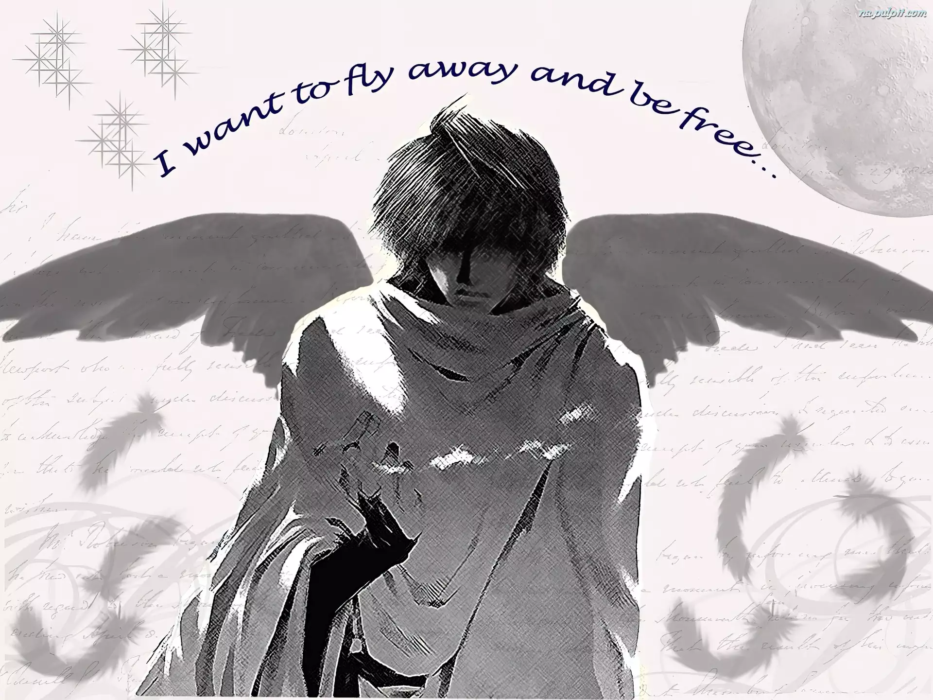 fly away, Saiyuki, szare