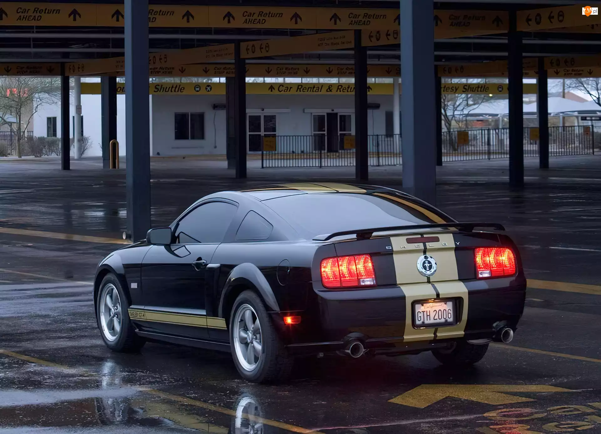 GT-H, Ford Mustang Shelby