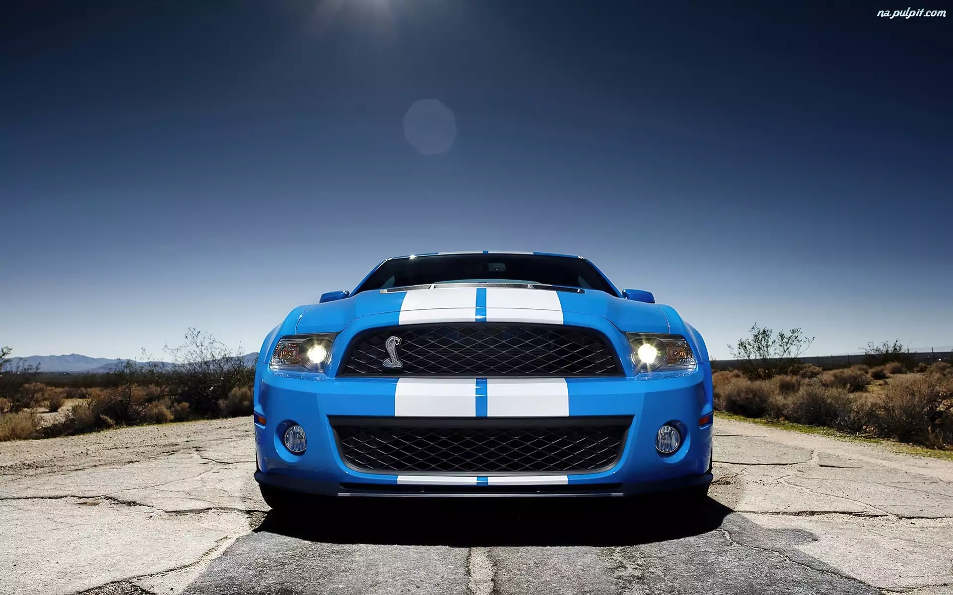 Ford Mustang, Shelby