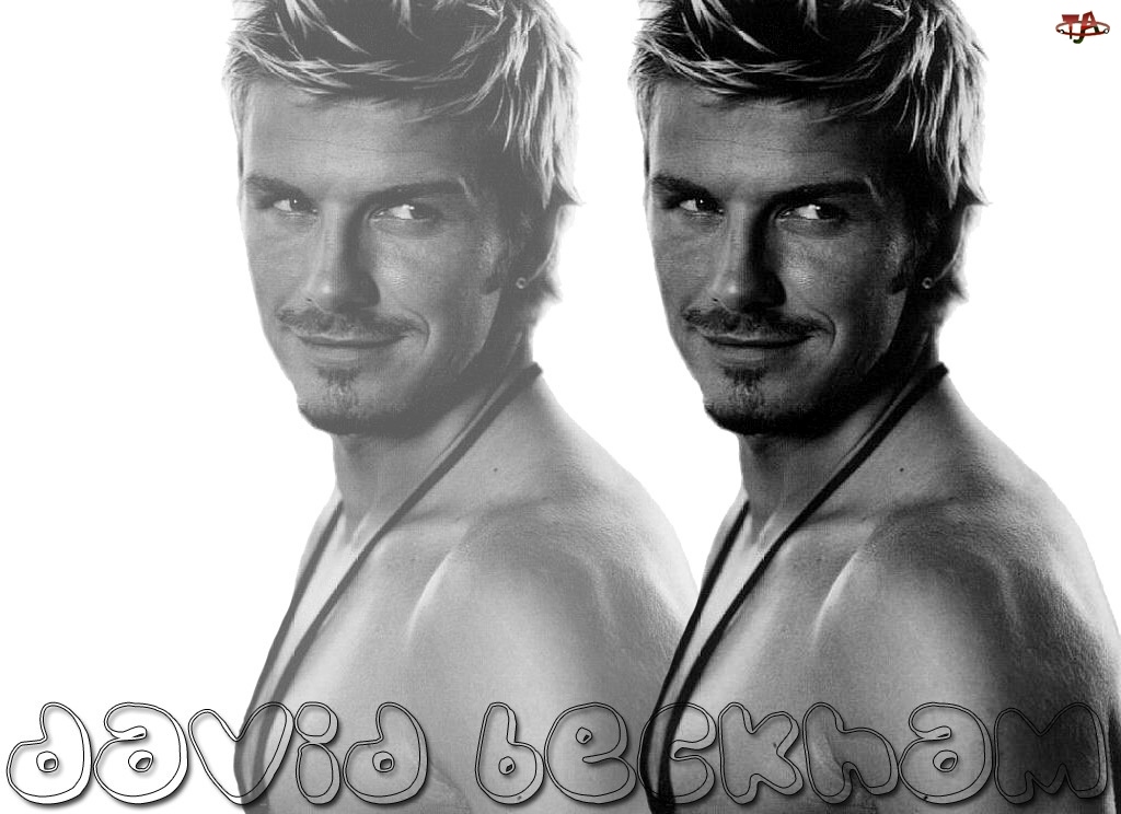 Profilu, David Beckham, Z