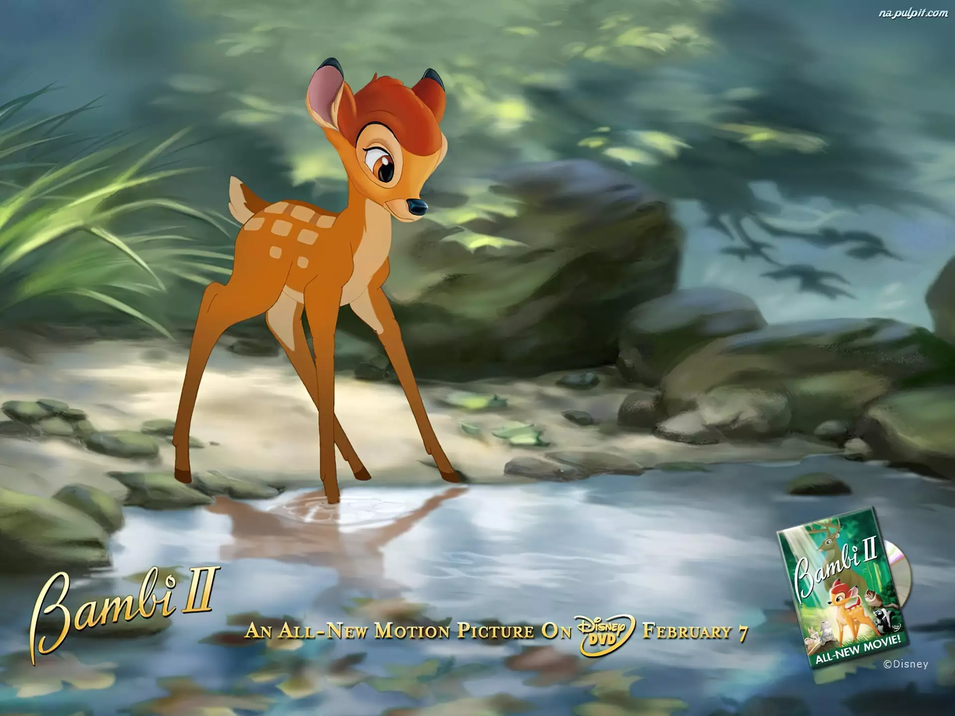 jelonek, Bambi 2