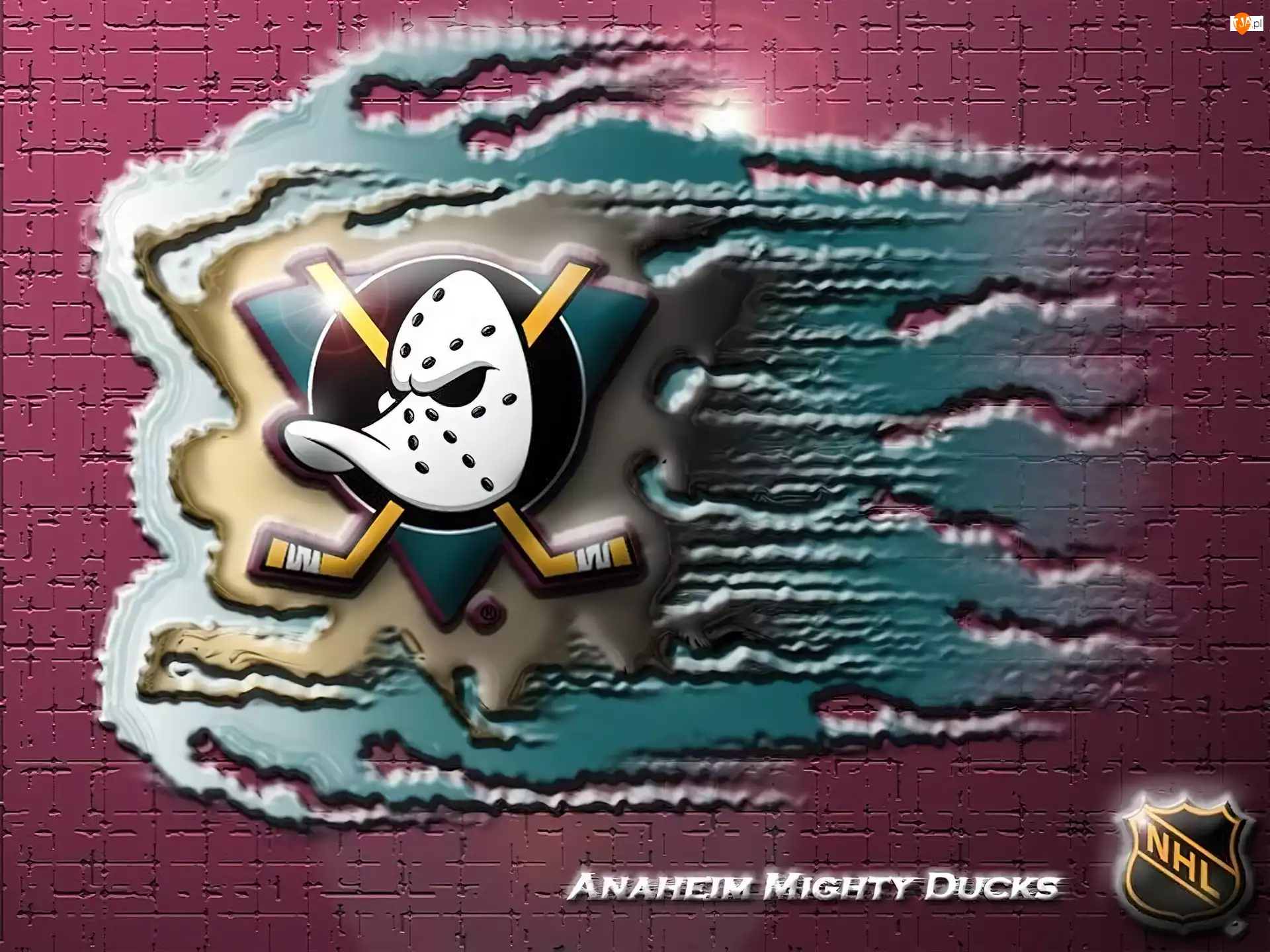 Logo, Anaheim Mighty Ducks, Drużyny, NHL