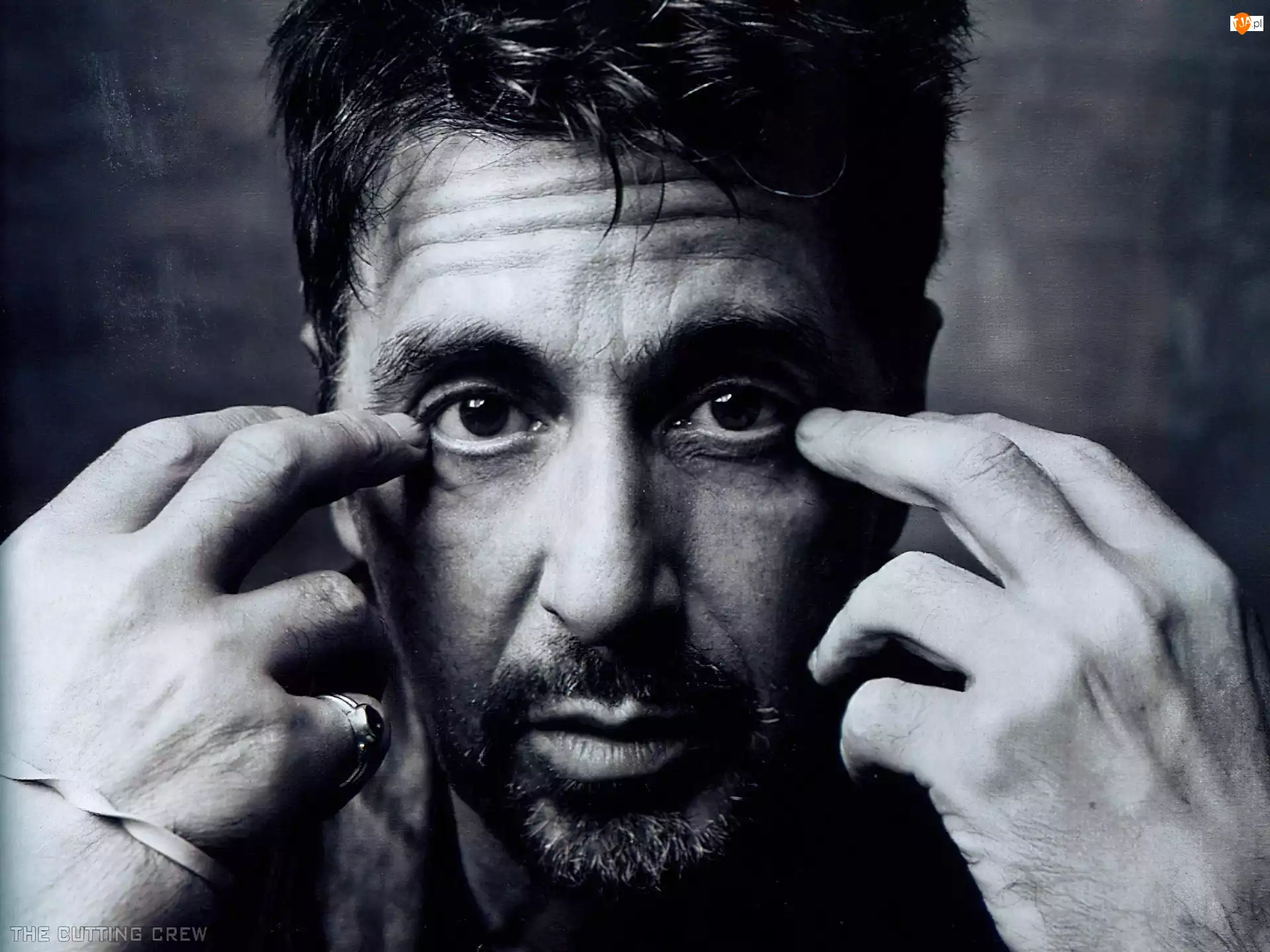 Aktor, Al Pacino, ręce, sygnet