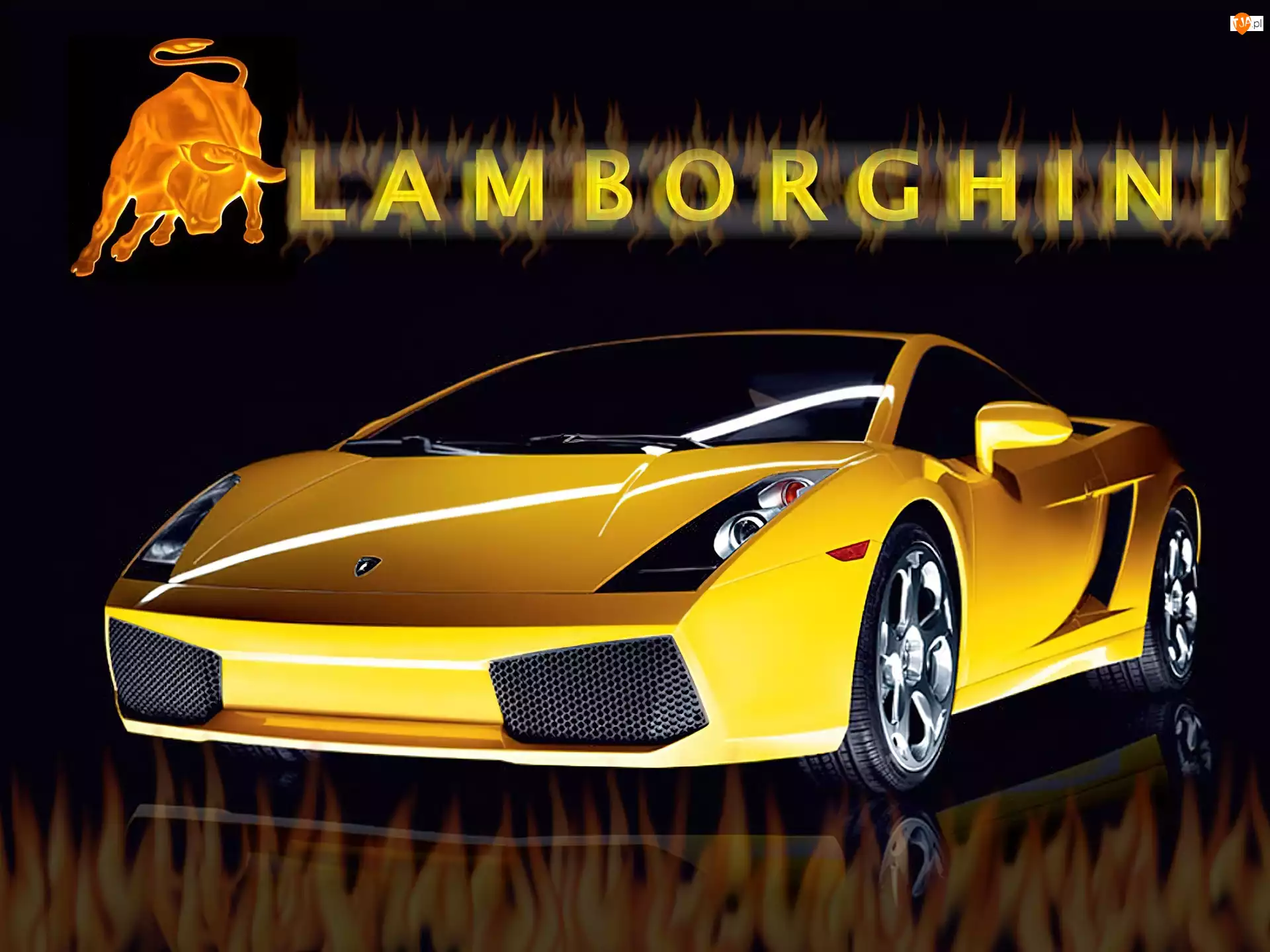 Byk, Lamborghini Gallardo
