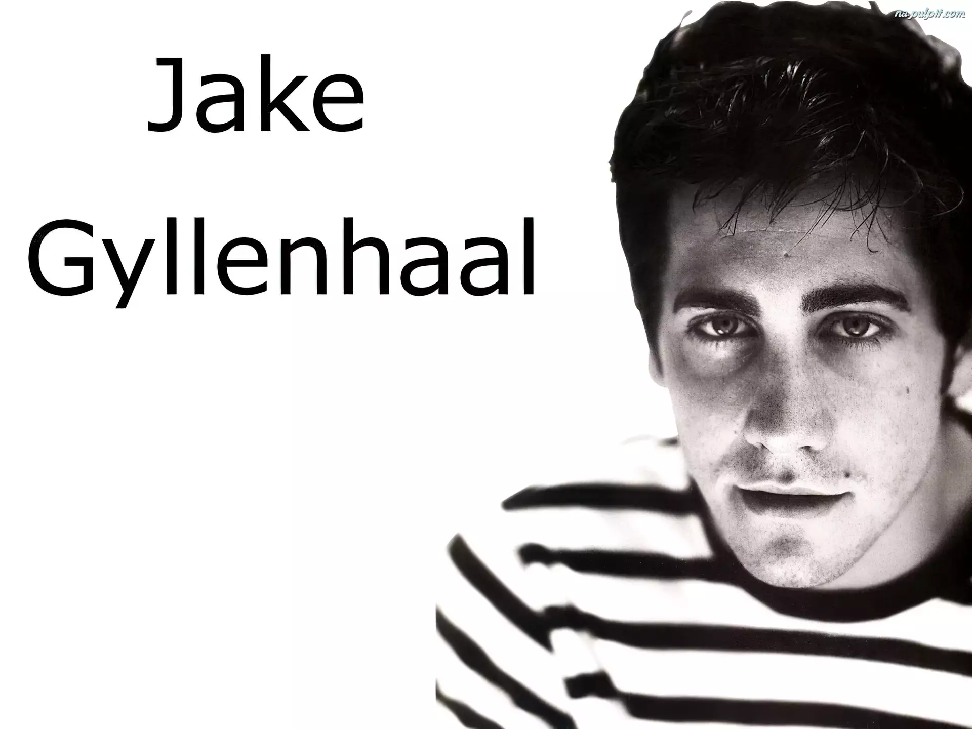 Jake Gyllenhaal, pasiasta bluzka