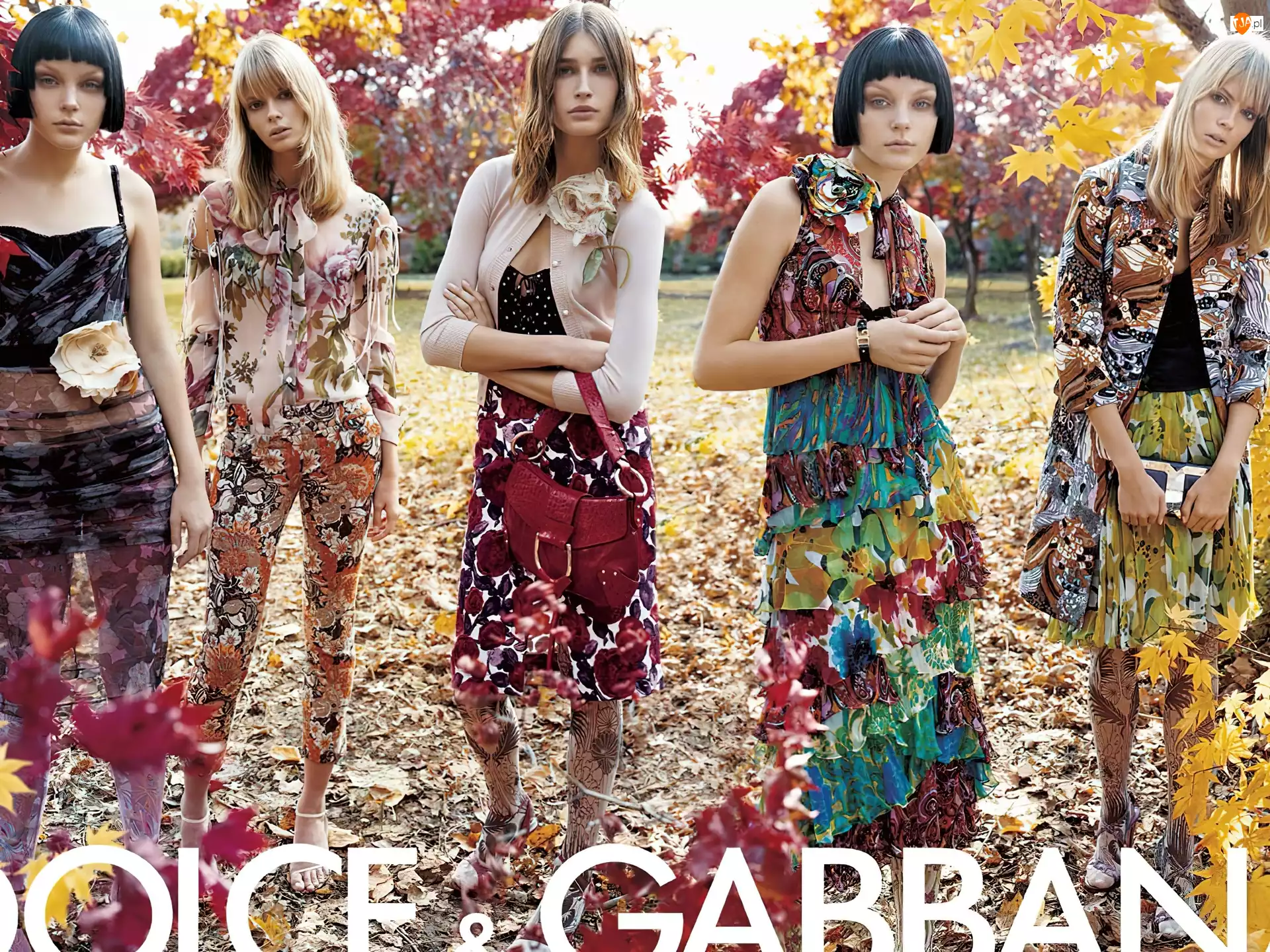 torebka, Dolce And Gabbana, dziewczyny, sukienki