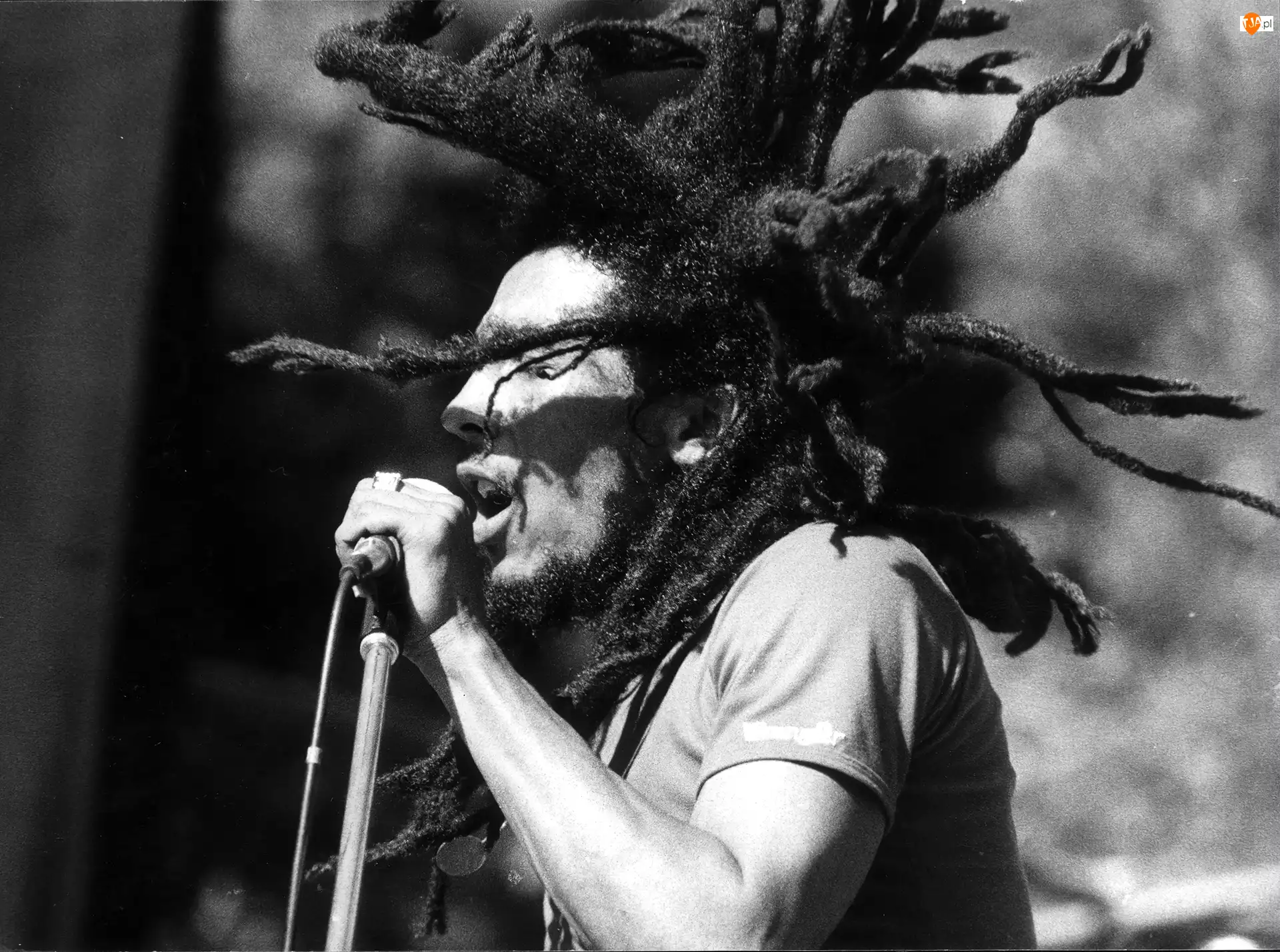 Mikrofon, Bob Marley, Dredy