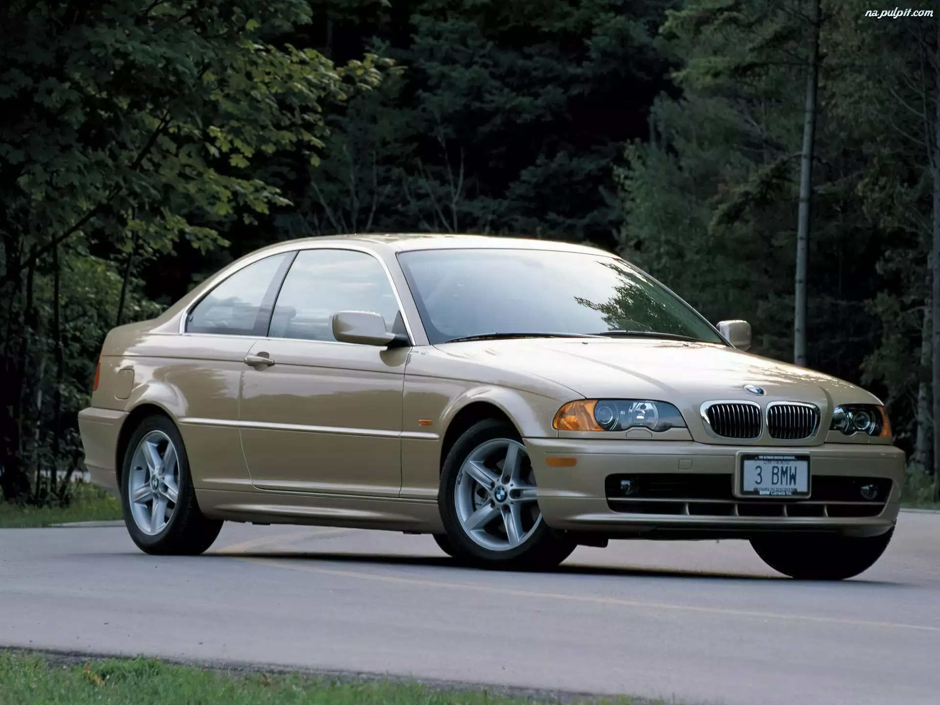 Złote, Coupe, BMW 3, E46