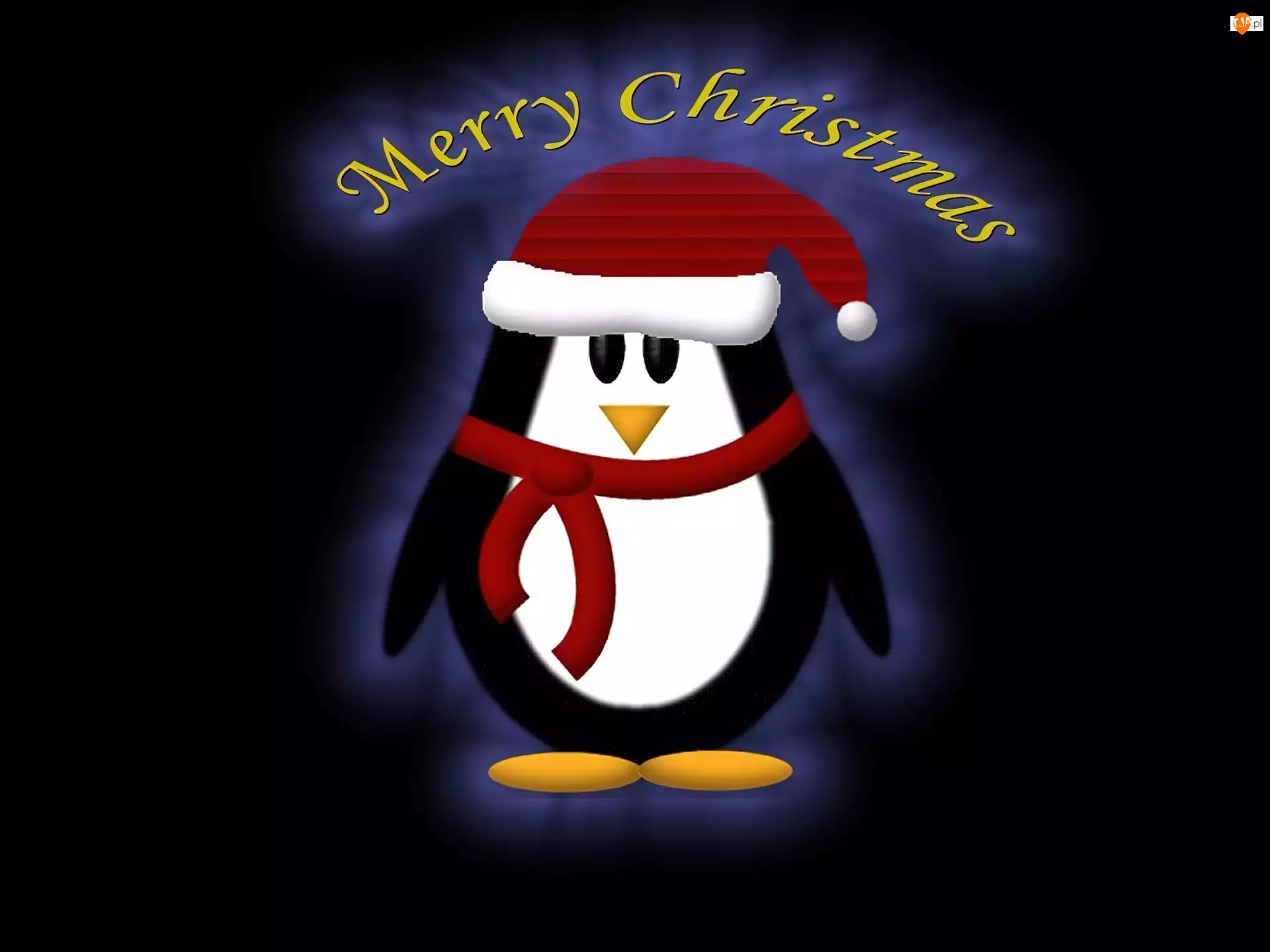 pingwinek, Boże Narodzenie