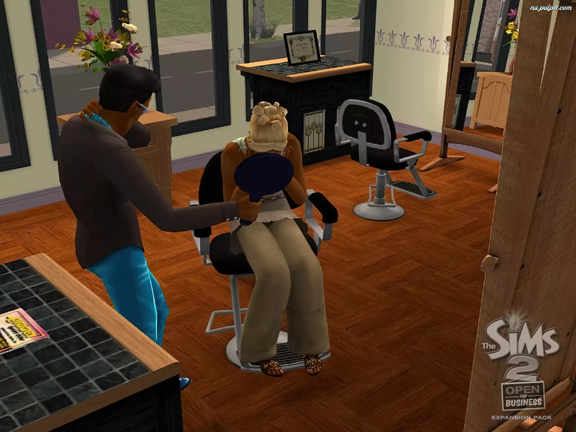 Open Business, The Sims 2