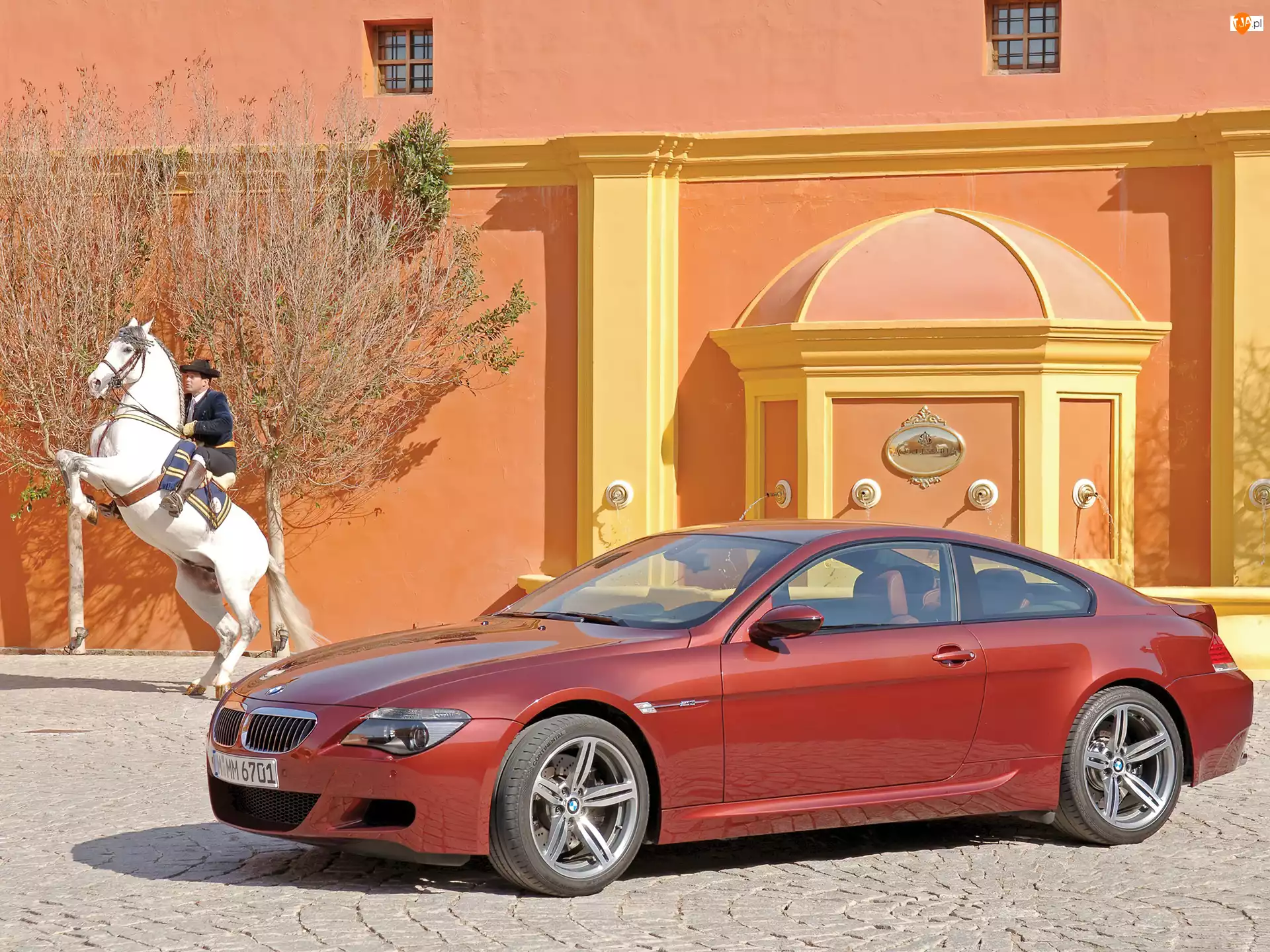 Biały Koń, BMW 6