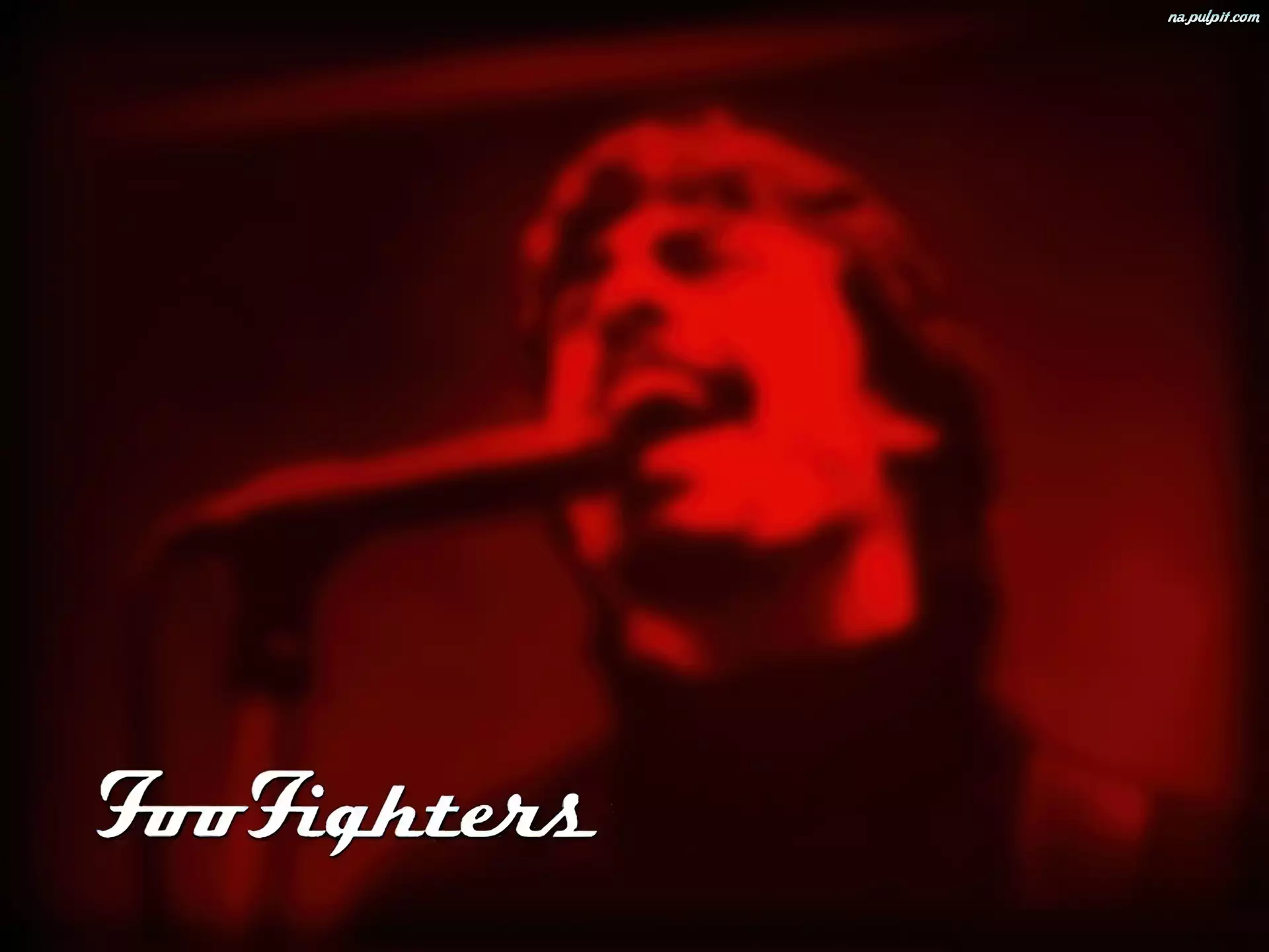 mikrofon, Foo Fighters, wokalista