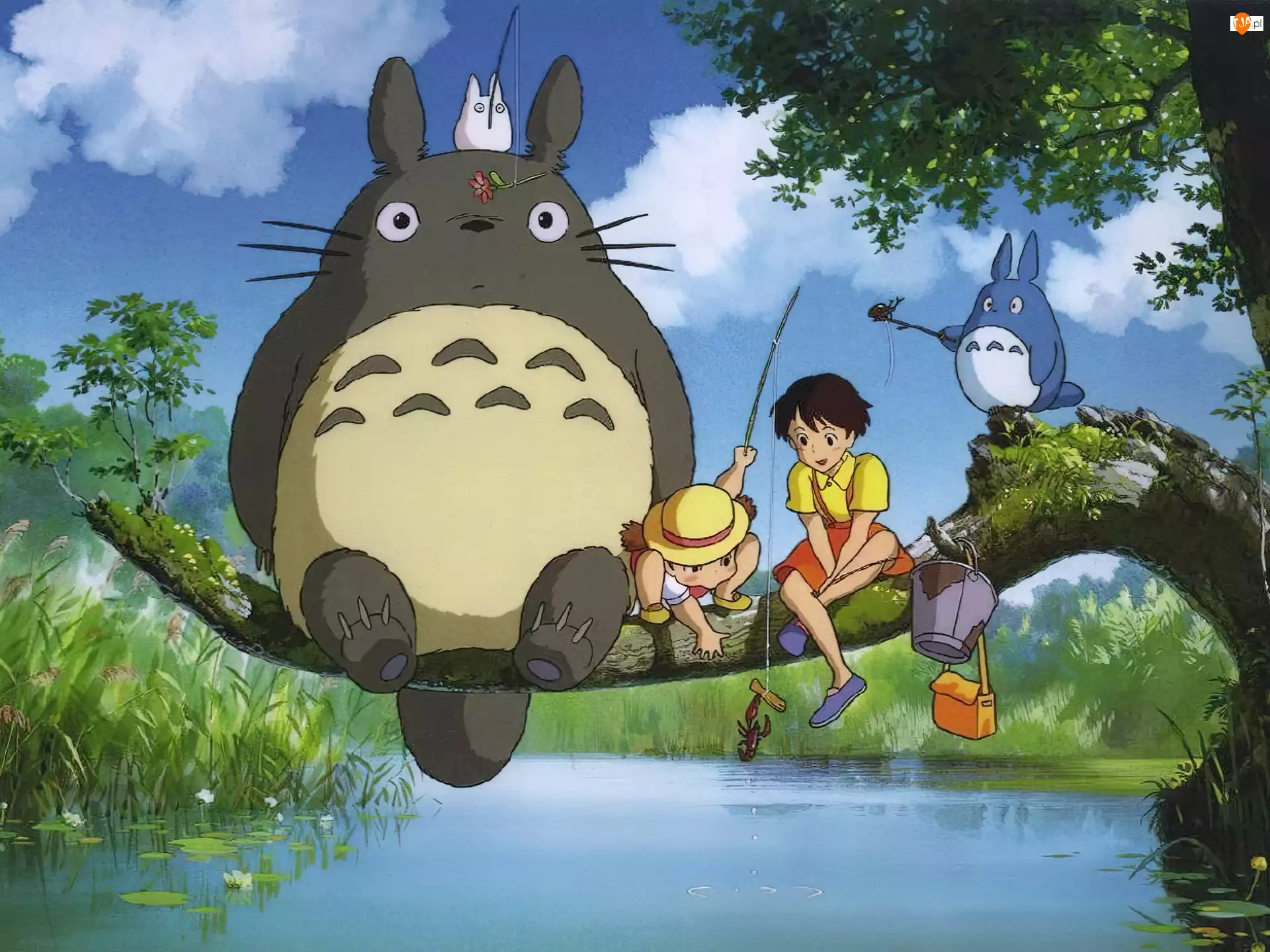 wiaderko, My Neighbour Totoro, jezioro