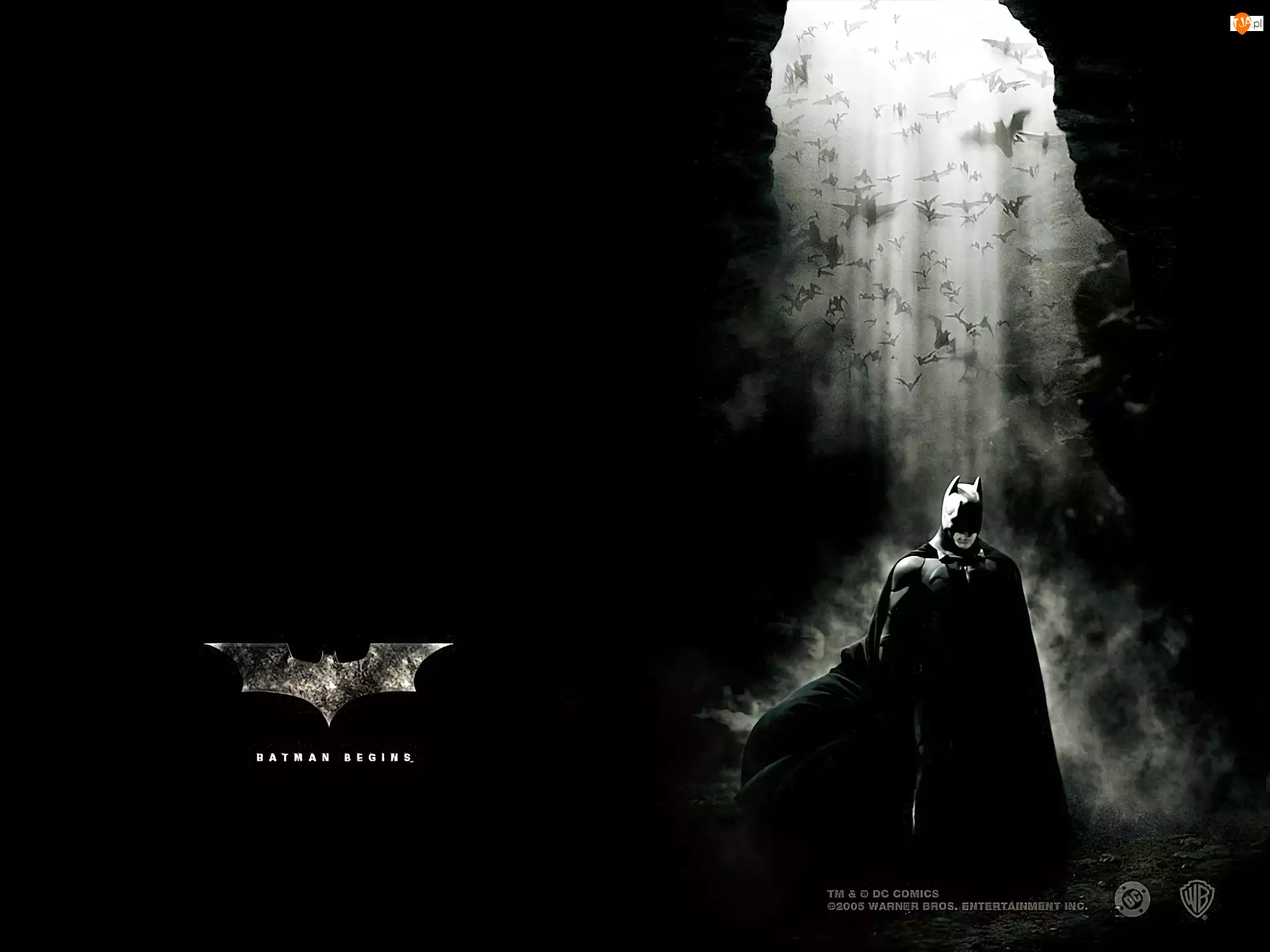 Batman Dark Knight, nietoperze, batman