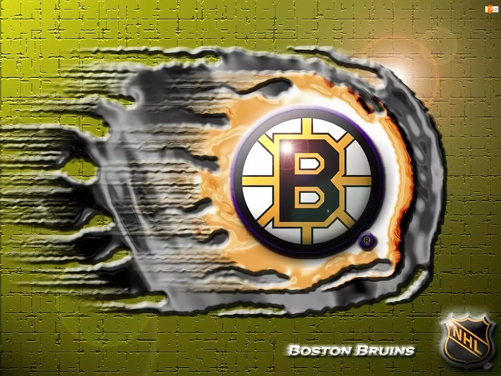 Logo, Boston Bruins, Drużyny, NHL