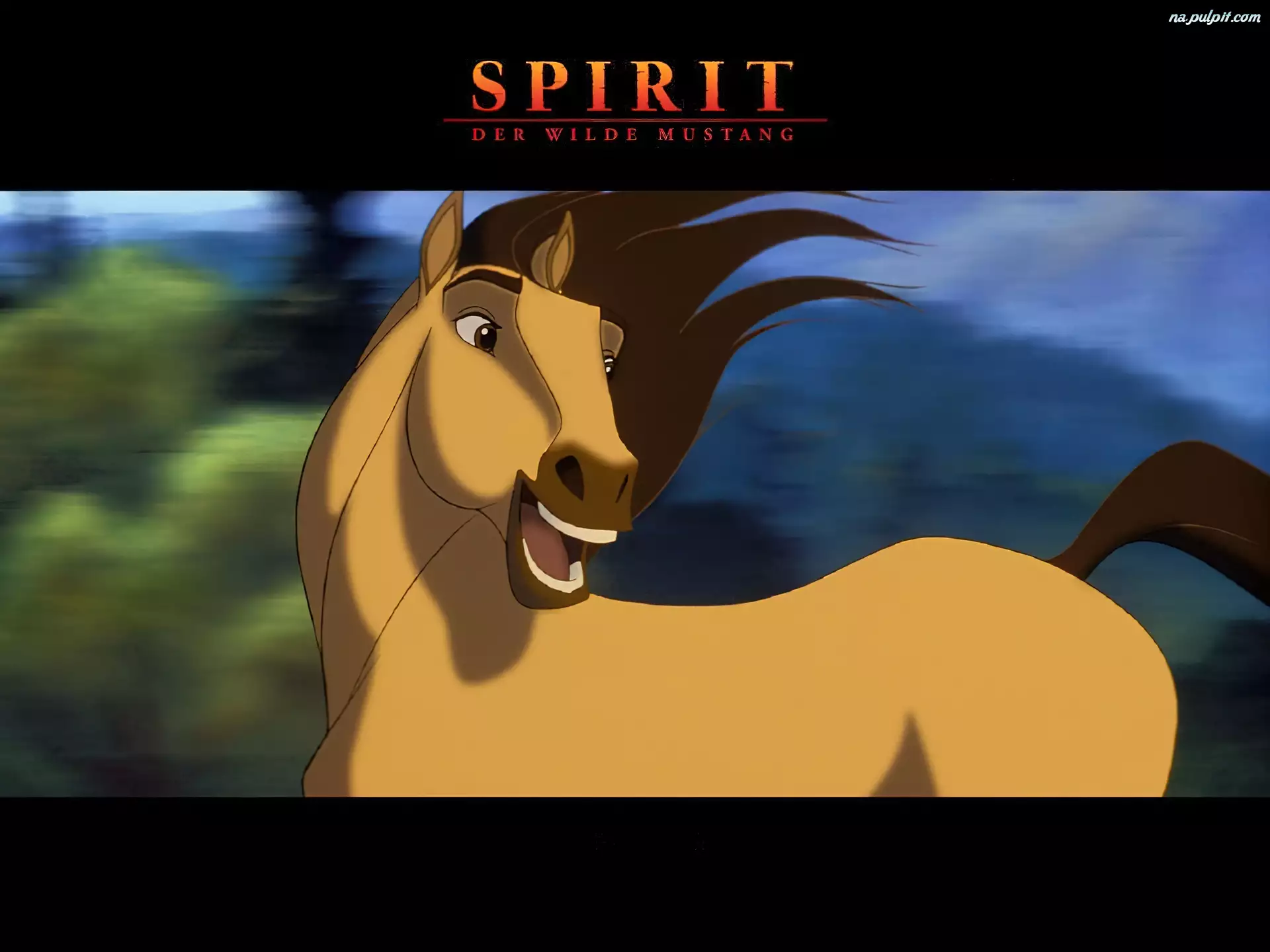 Spirit Stallion of the Cimarron, koń, Mustang z Dzikiej Doliny