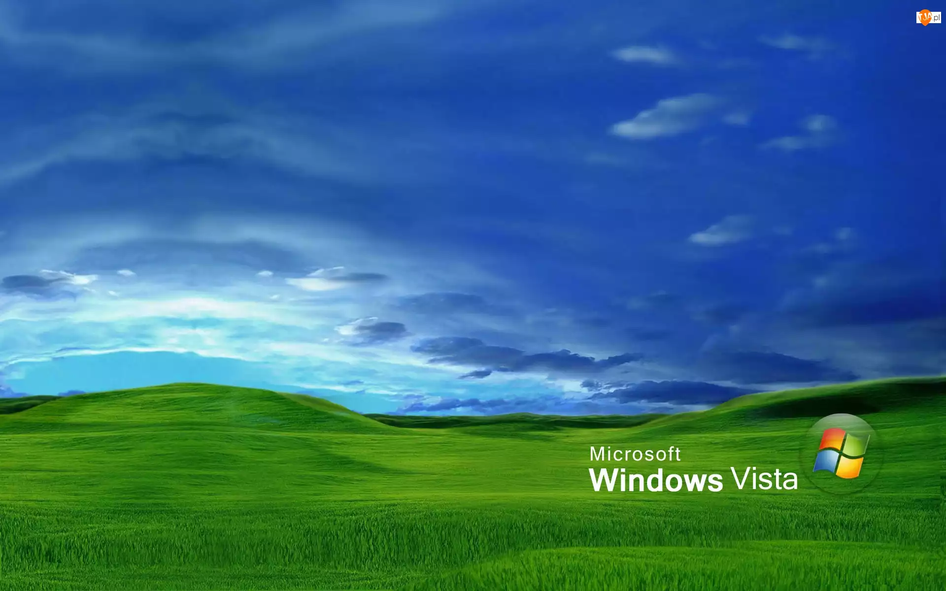 Windows Vista, Microsoft