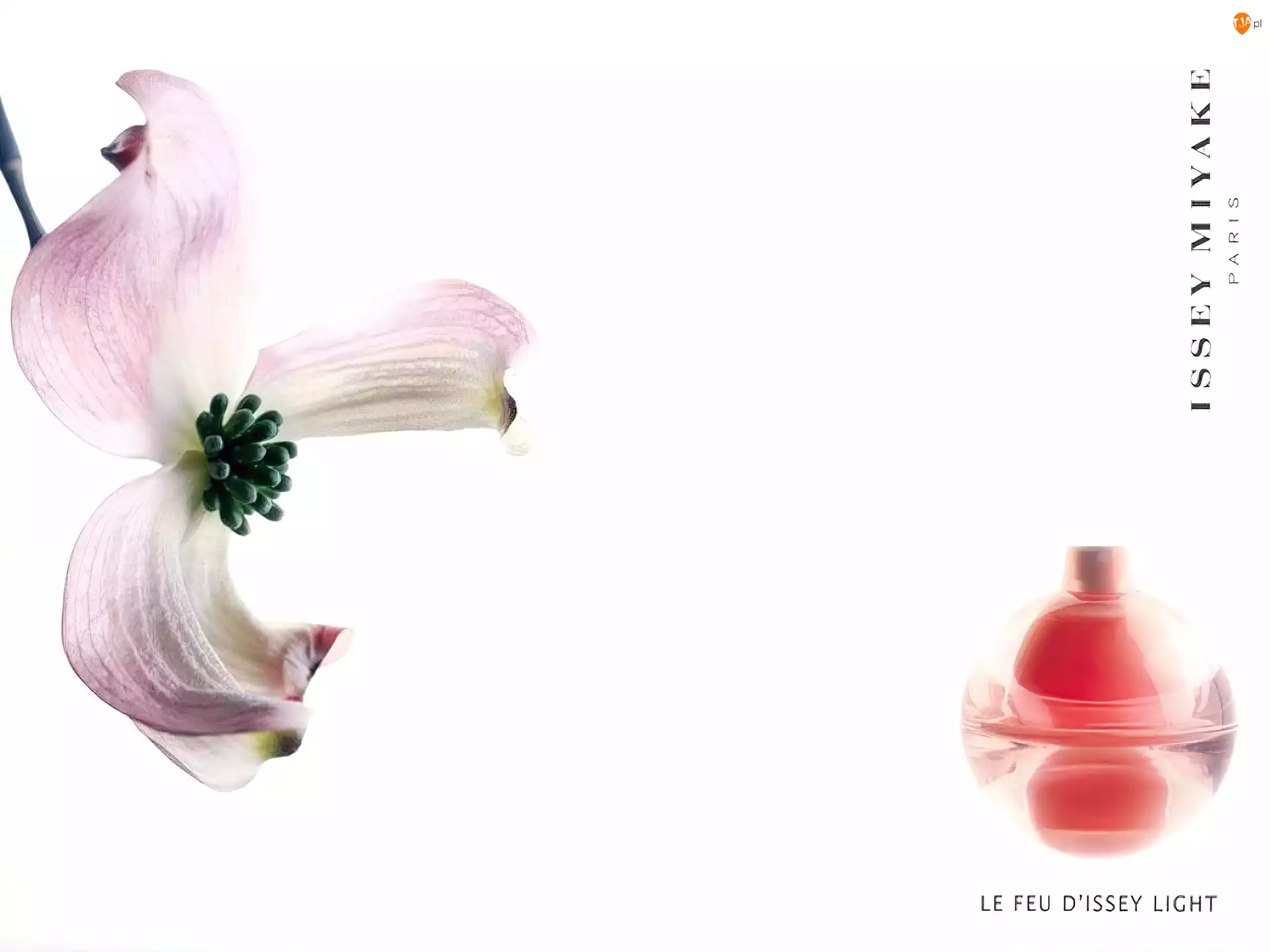 perfumy, Issey Miyake, kwiat, flakon